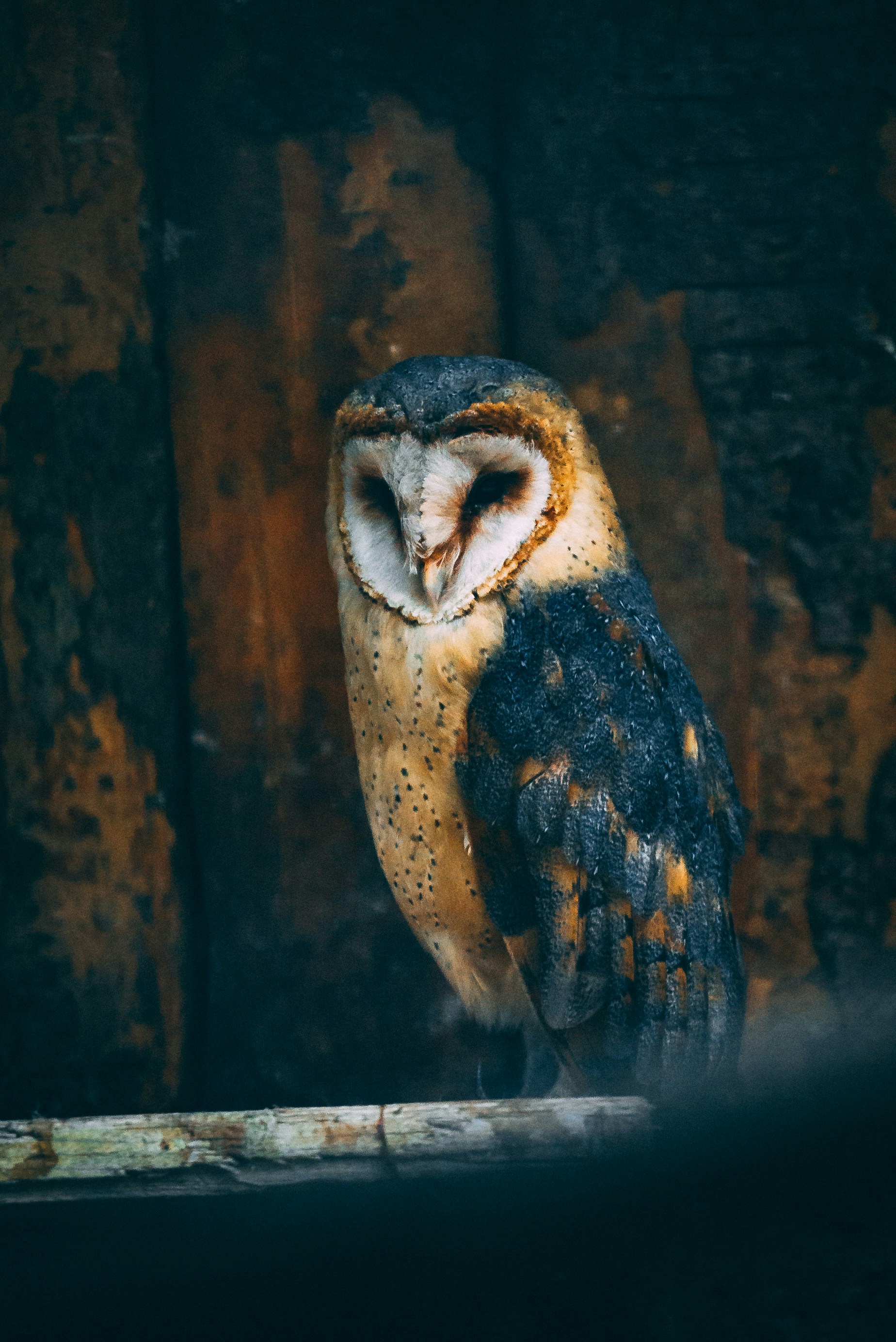 Photo by nejc_soklic