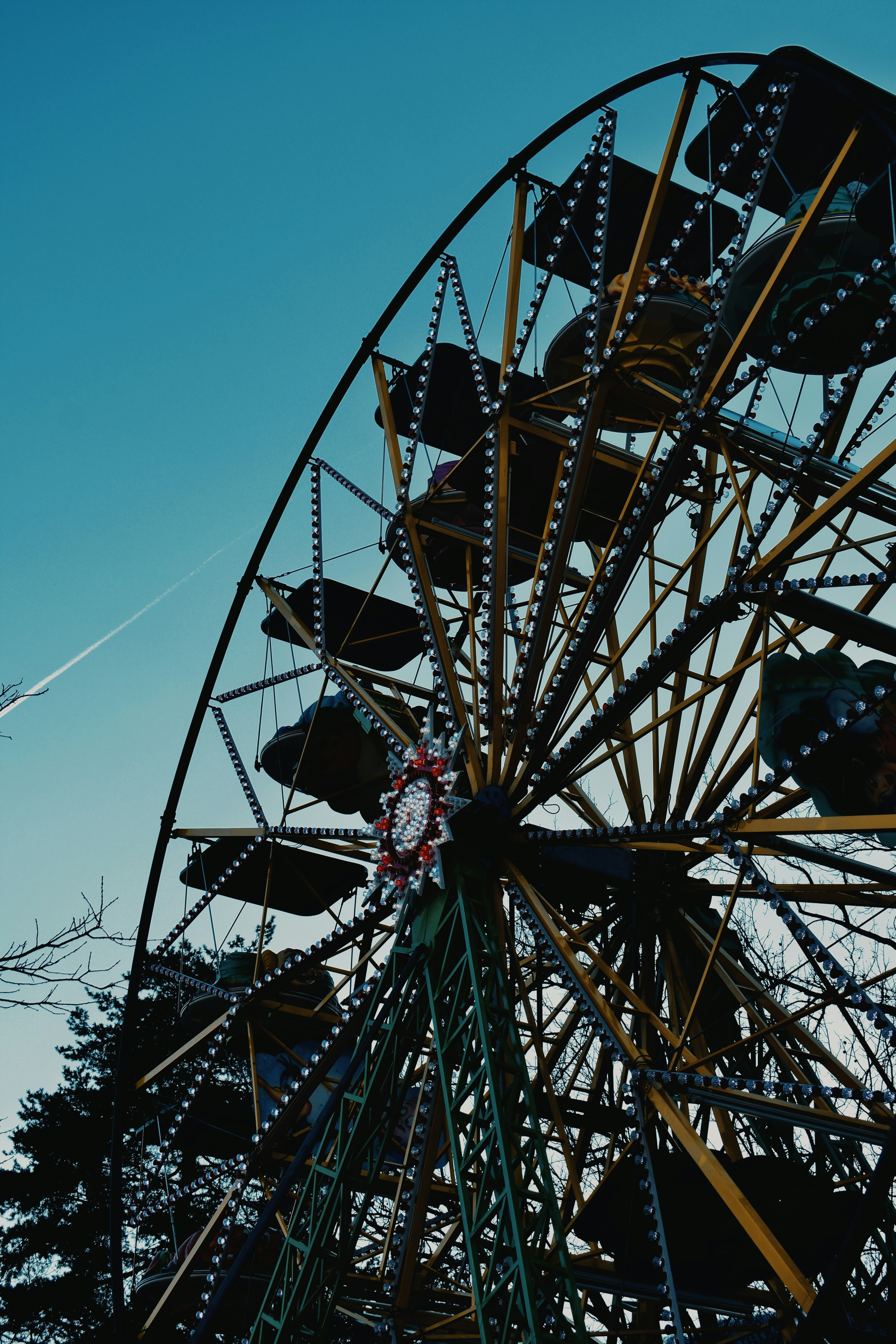 Photo by thisislorenzjpg