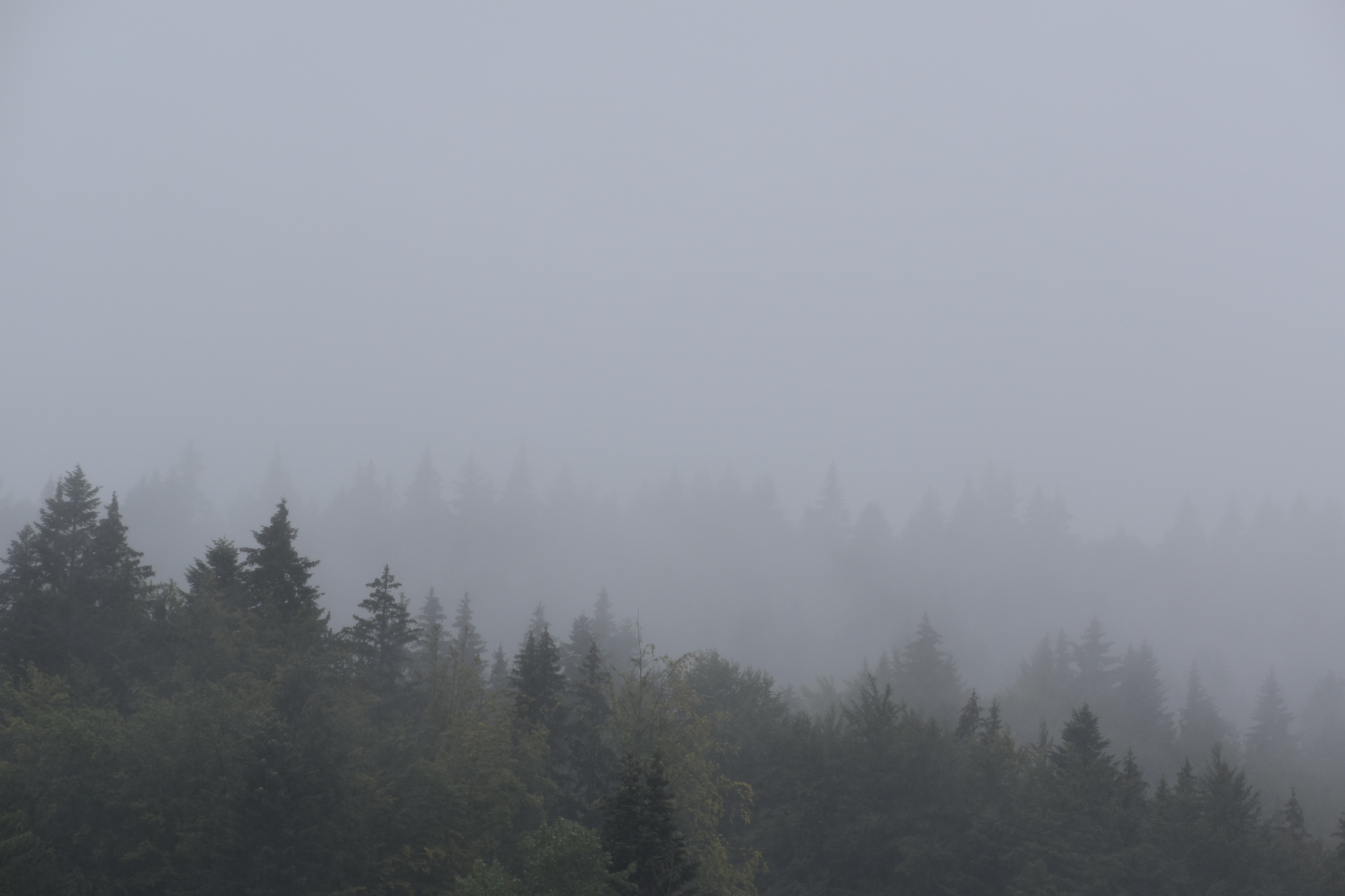 Photo by pixels_out_of_reality