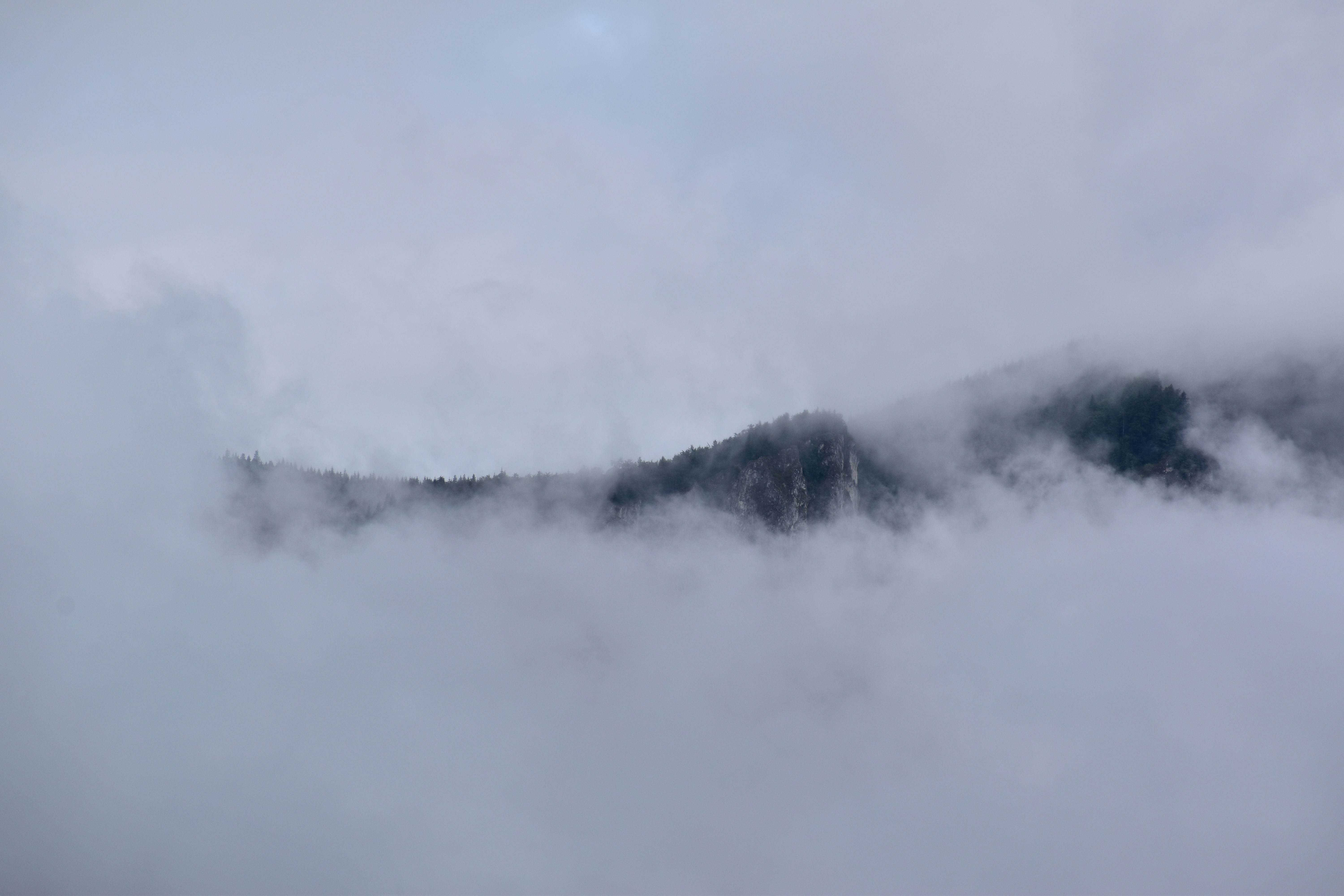 Photo by pixels_out_of_reality