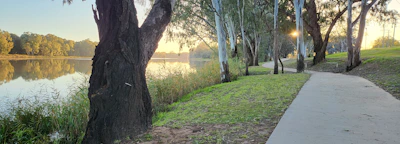 A serene riverside trail bathed in soft morning light, inviting calm exploration.