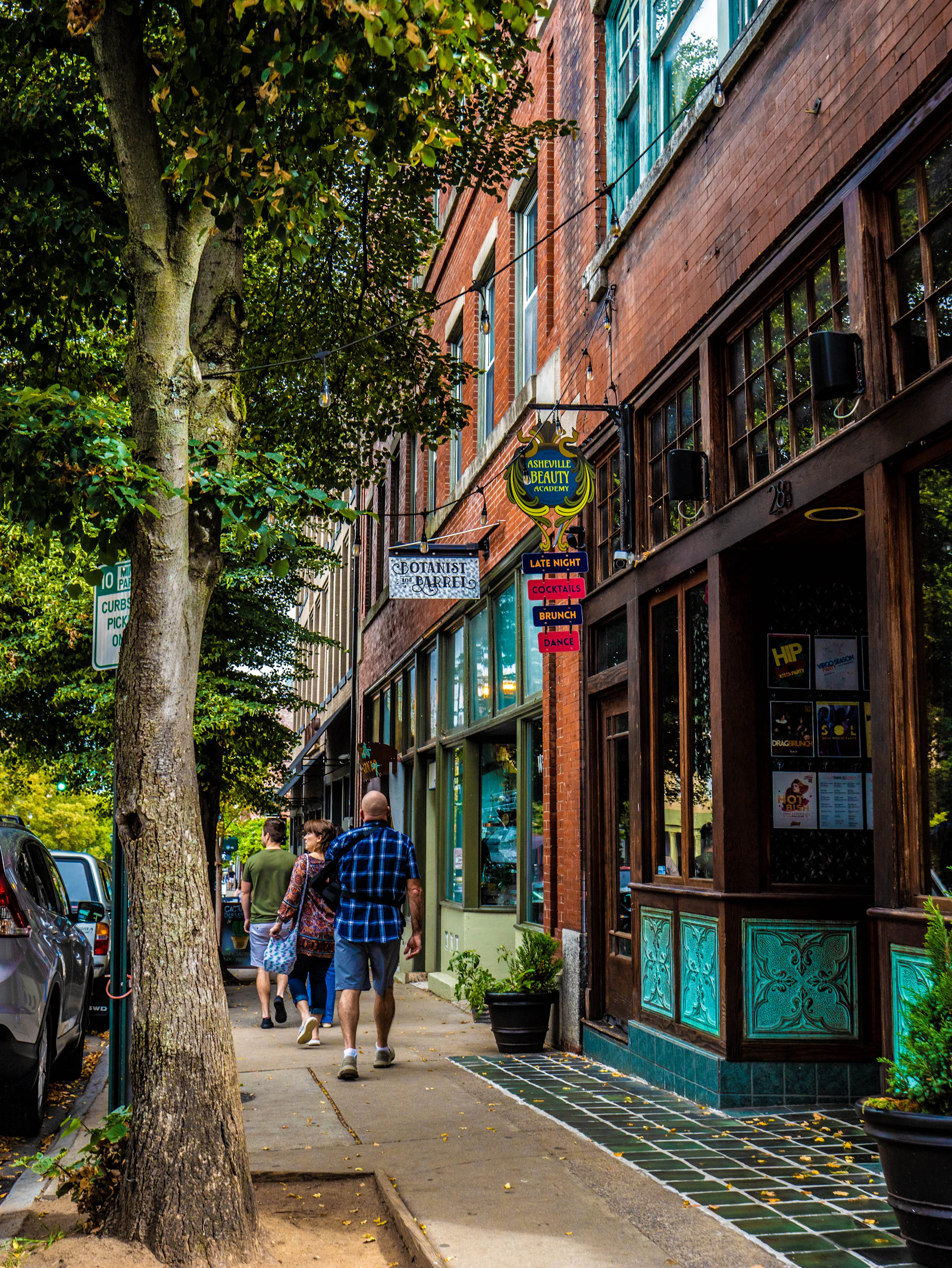 Asheville mountain town