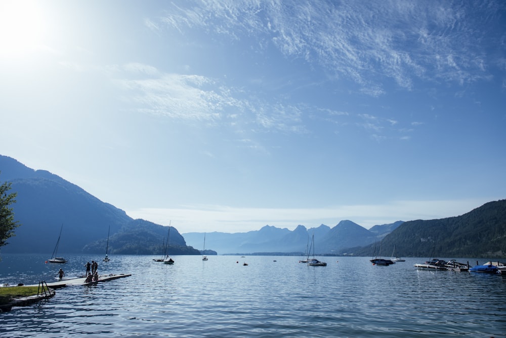 a group of people rowing boats