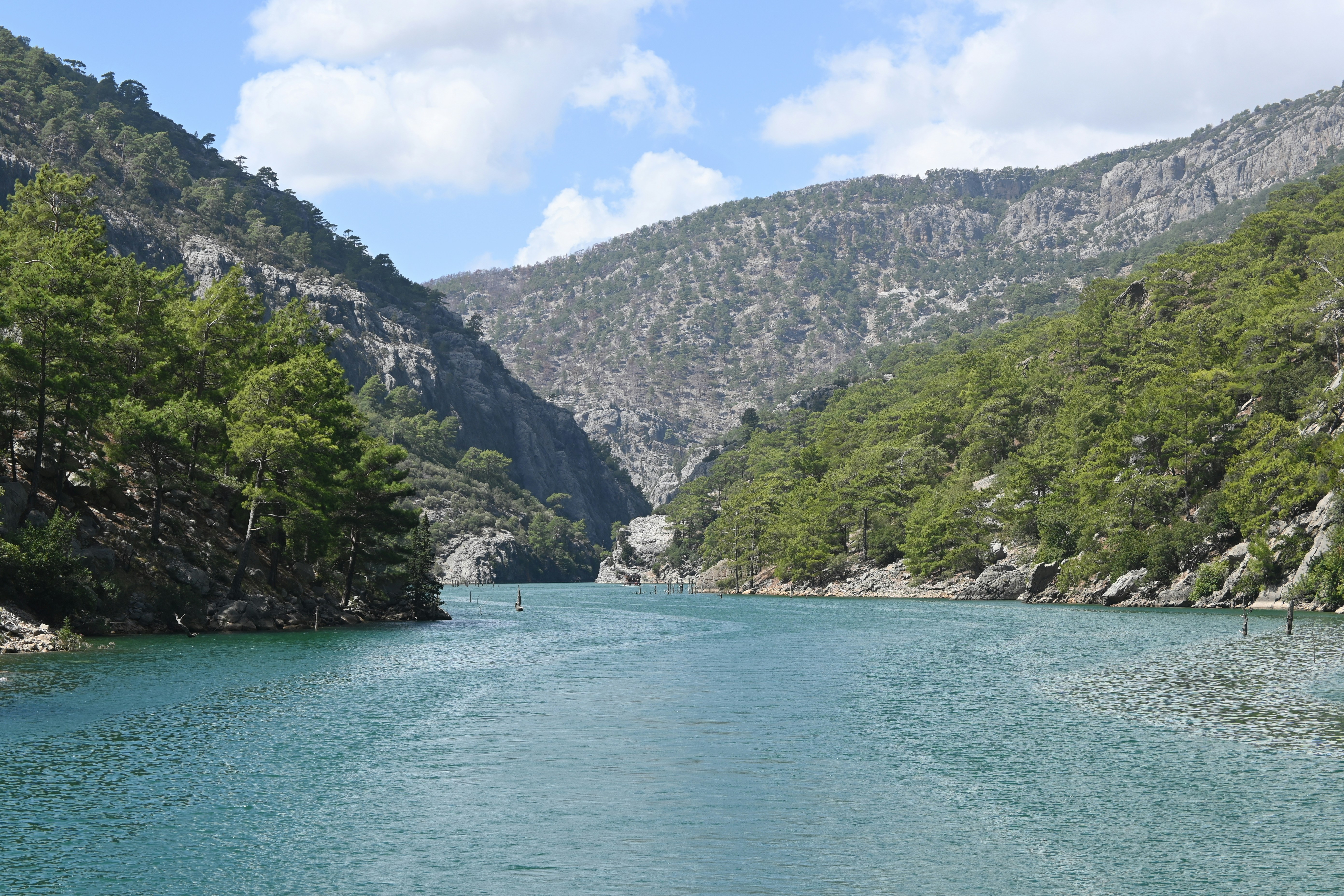 Photo by tillysmummy