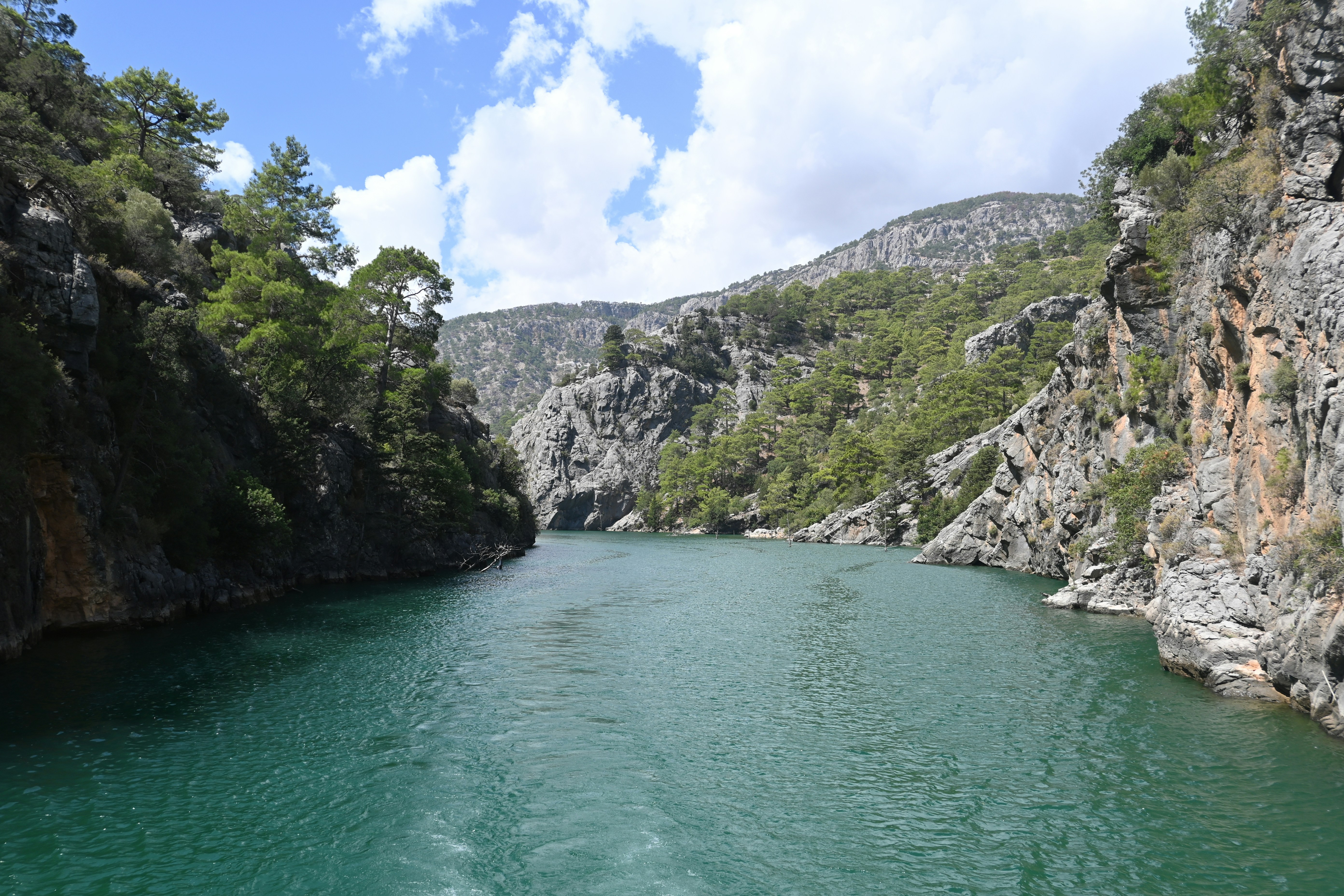 Photo by tillysmummy