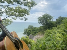 A serene landscape combining lush greenery with a view of water under a partly cloudy sky. A guitar is partially visible in the foreground, held by a person, suggesting a sense of music and relaxation in nature. The foliage is vibrant and the water is calm, enhancing the peaceful ambiance.