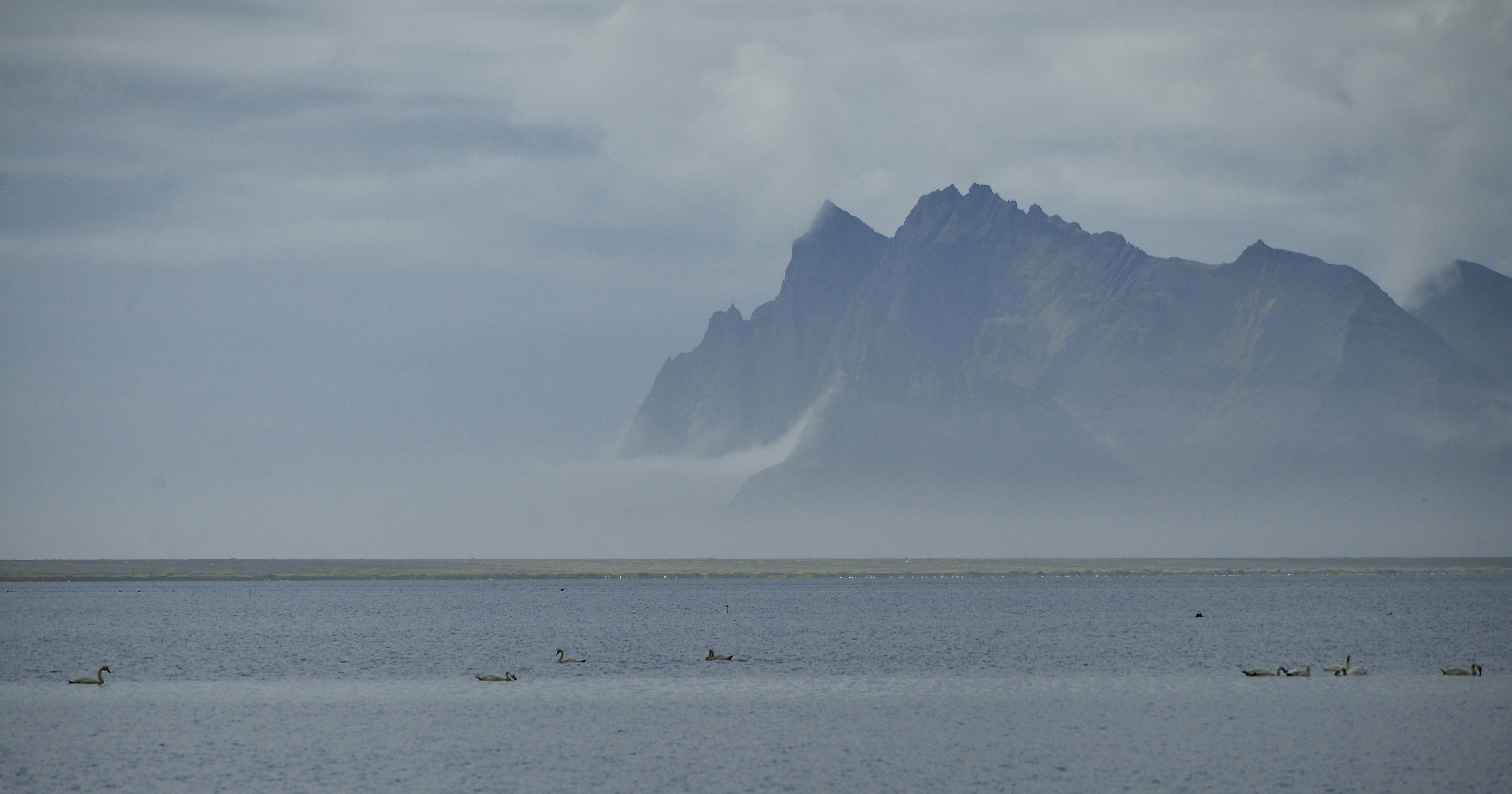 Photo by jensholm