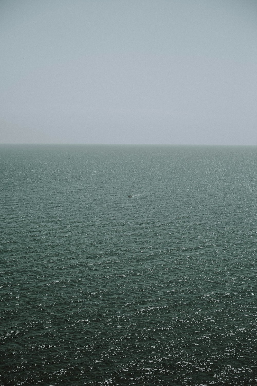 a bird flying over water