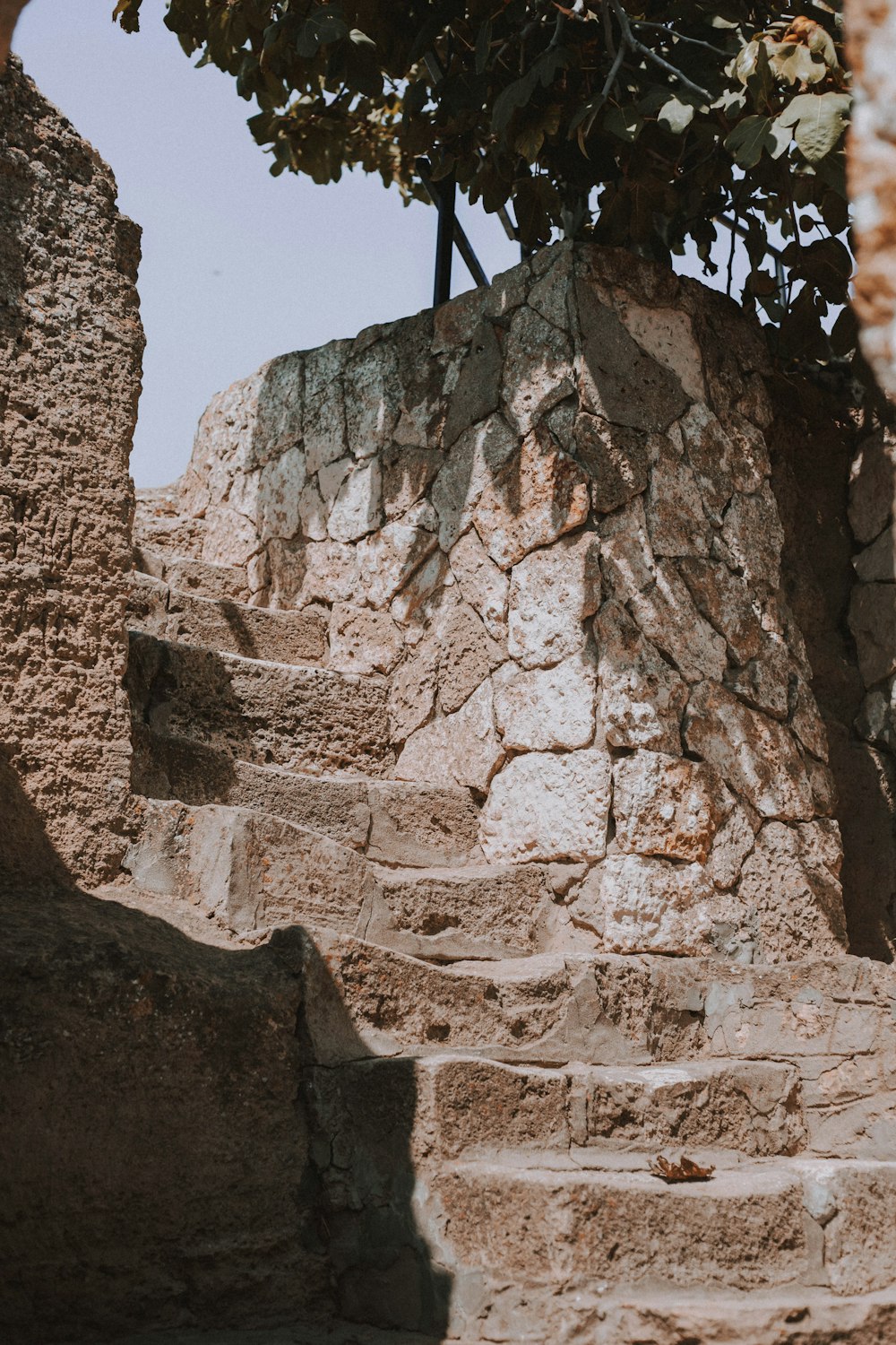 a rock wall with a tree