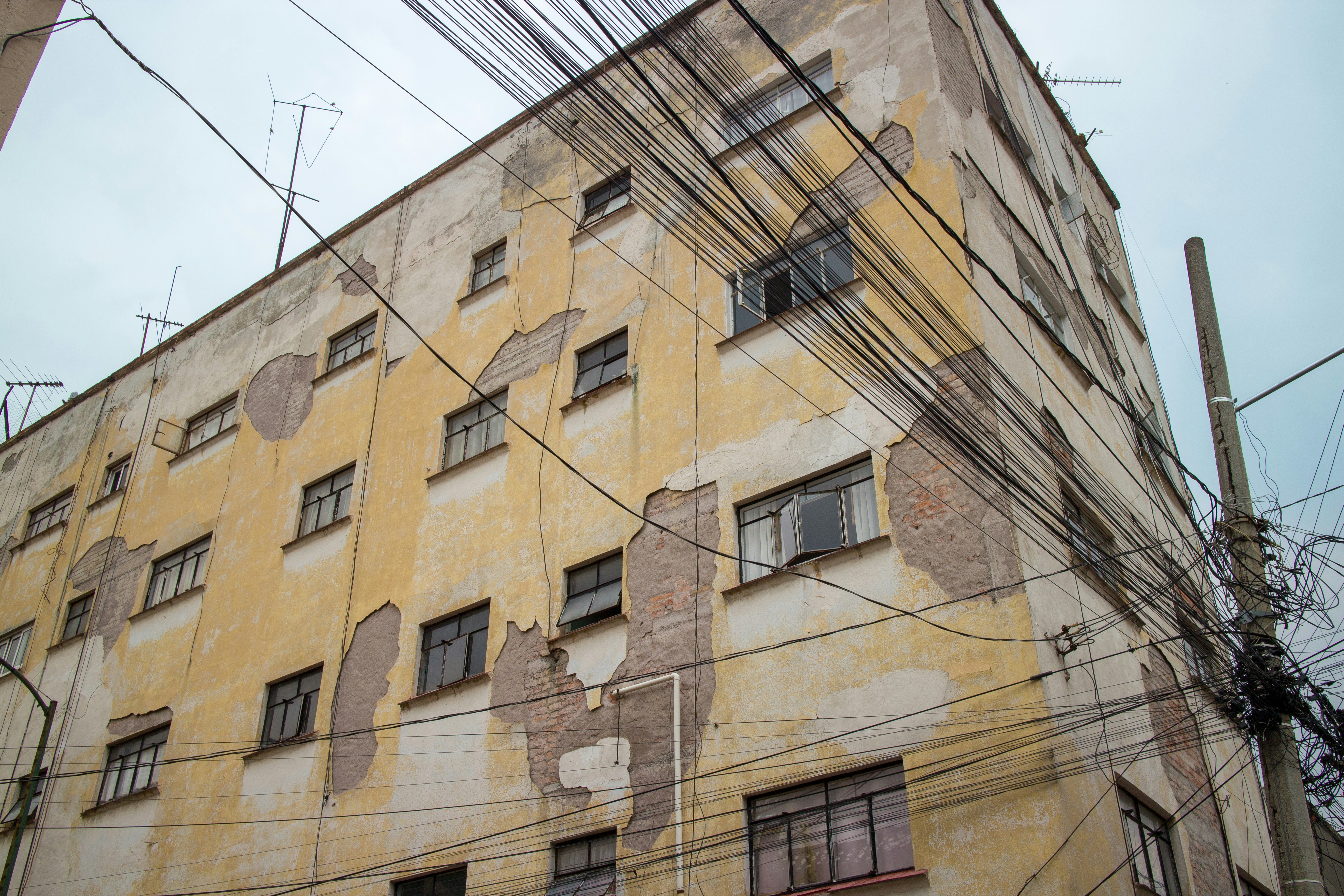 Photo by camaranegra