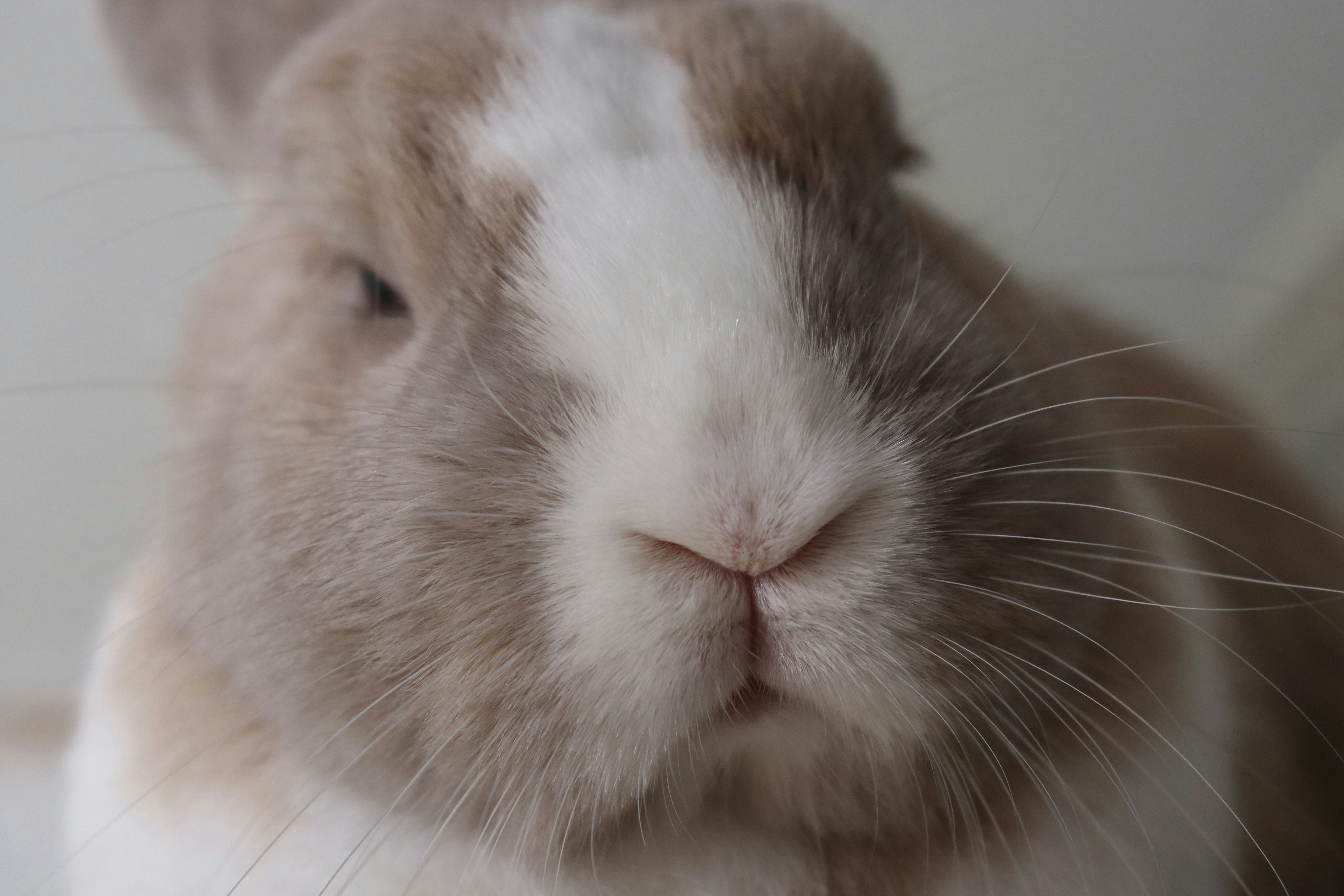 Photo by teresas_corner