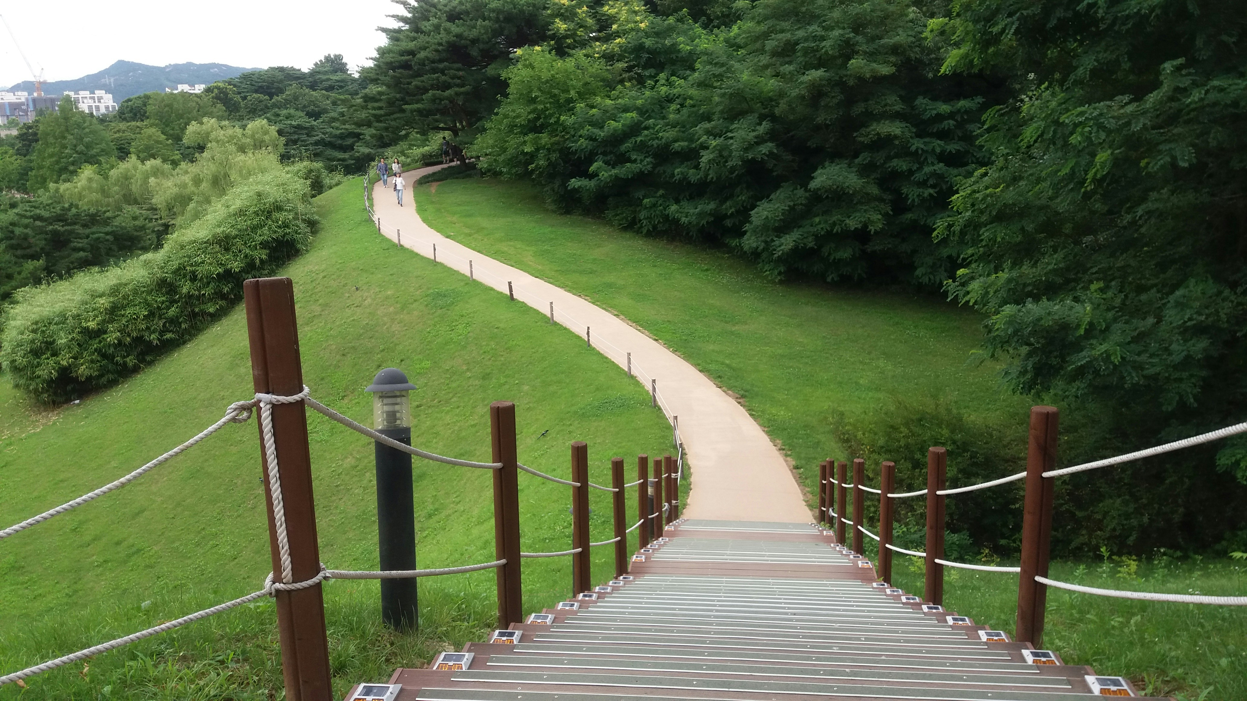 a walkway with grass and trees