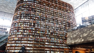 Large-scale bookshelf installation in a public library setting.