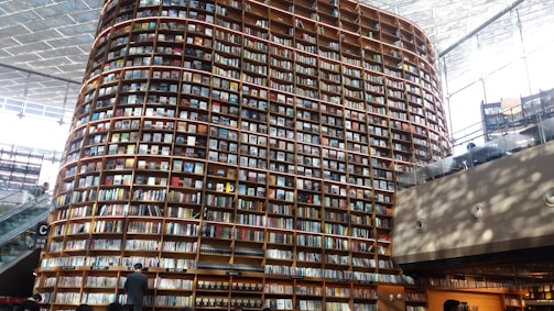Large-scale bookshelf installation in a public library setting.