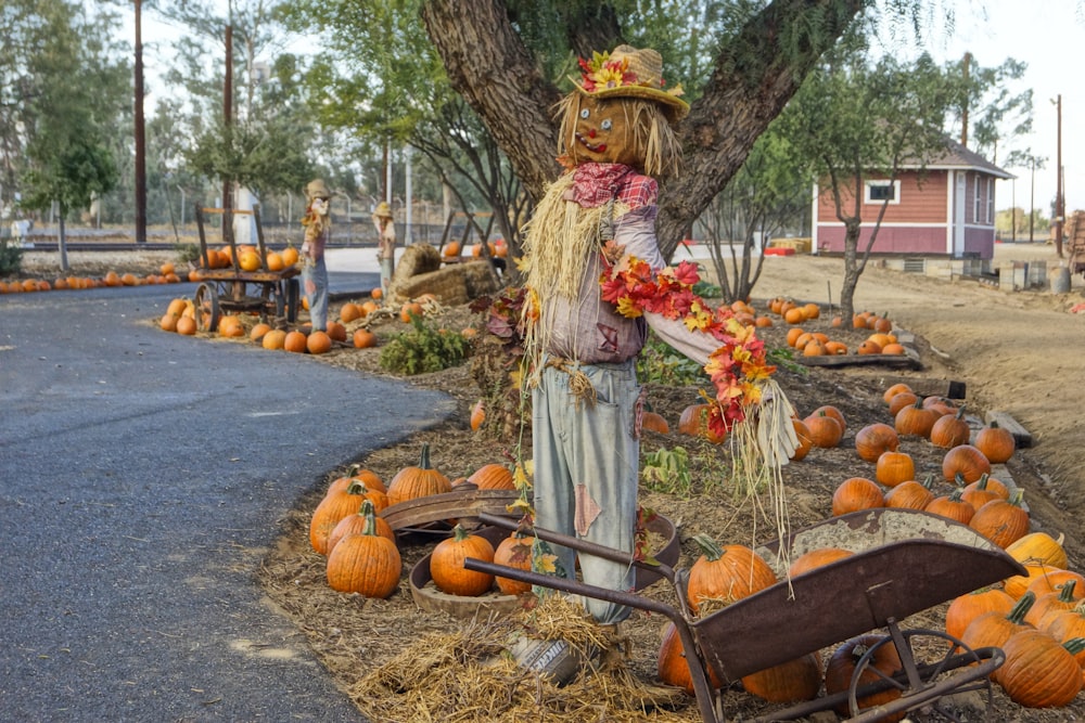 a person in a garment with a basket of pumpkins