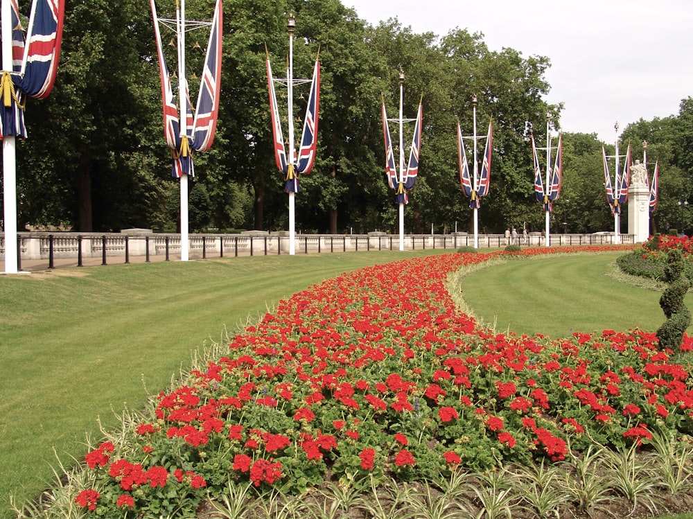 a large flower bed in a park