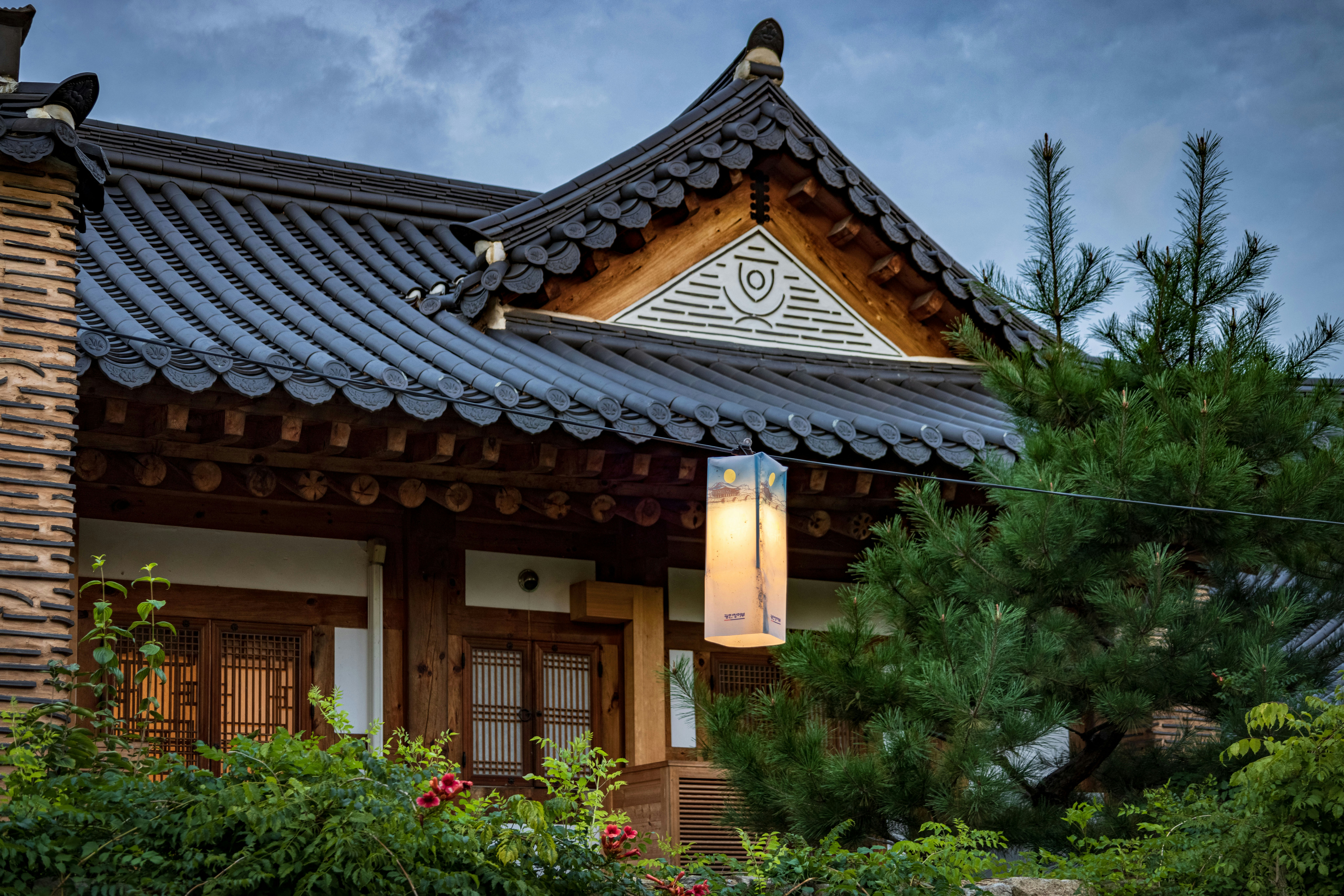 Photo by photosofkorea