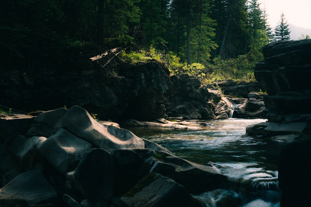 a river with rocks and trees