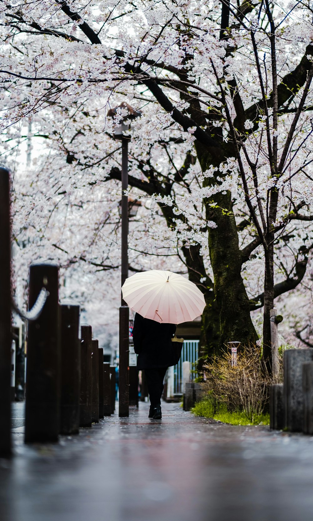 a person walking down a sidewalk with an umbrella