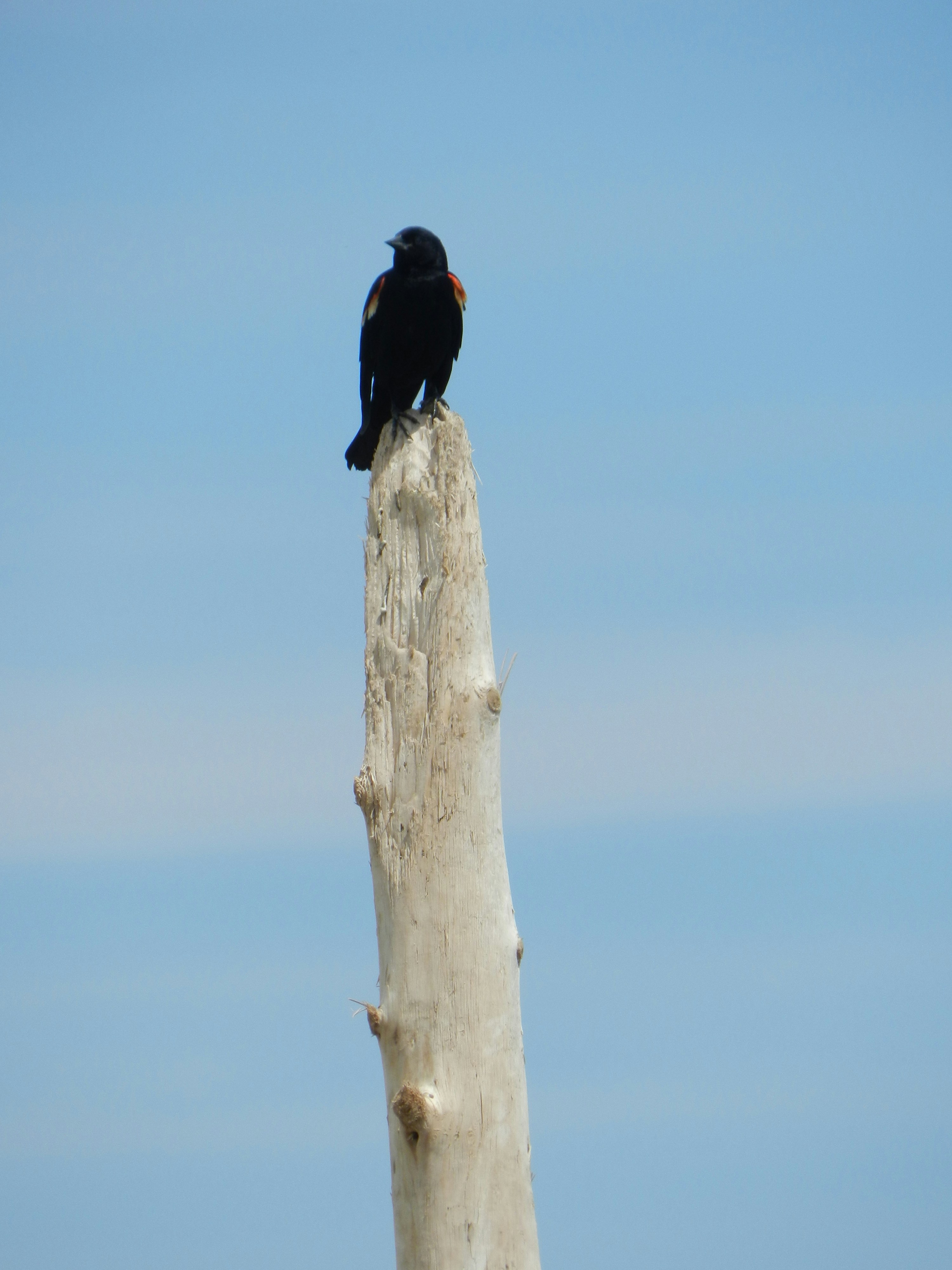 Photo by lyndabalcerek