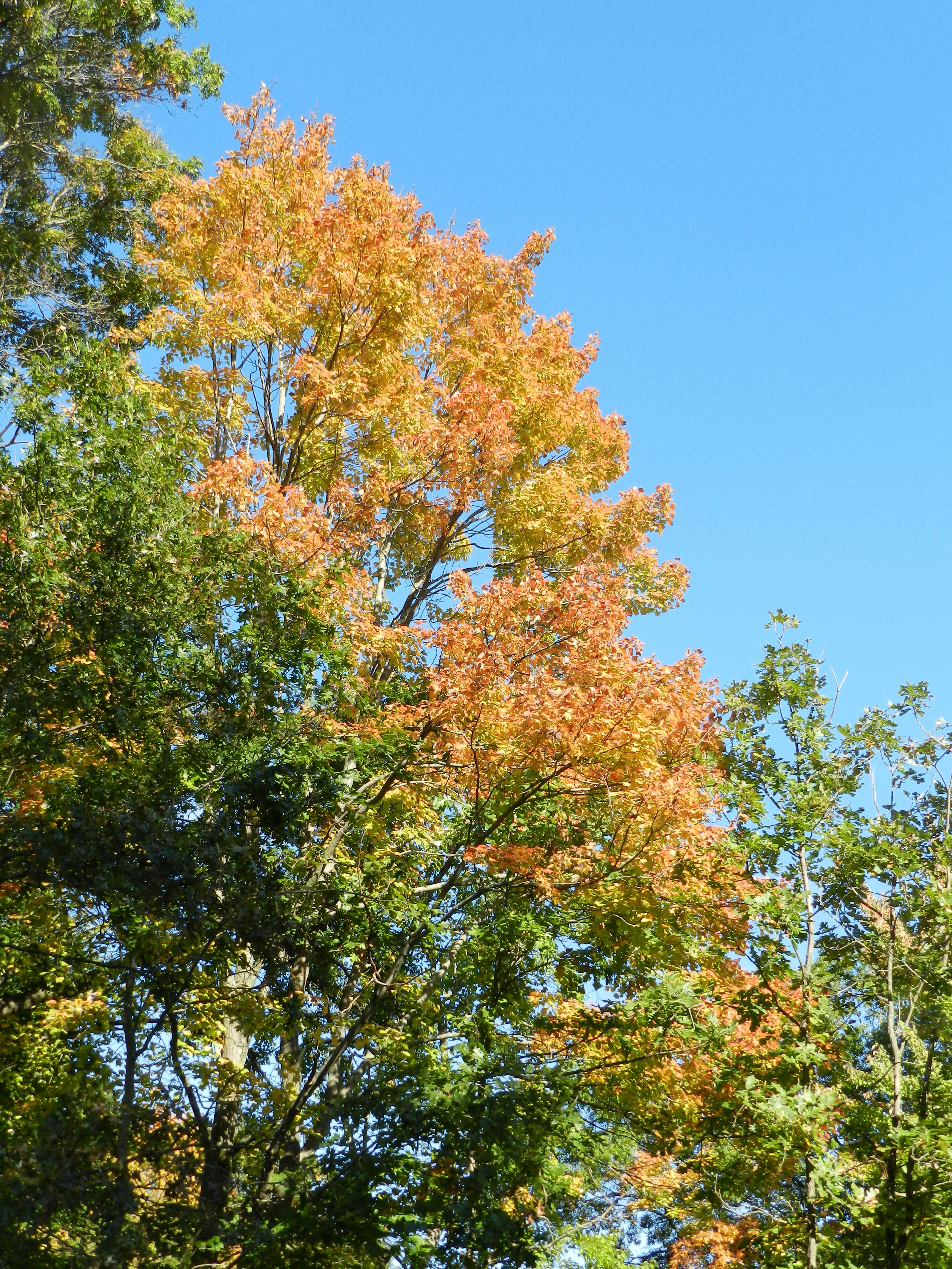 Photo by lyndabalcerek