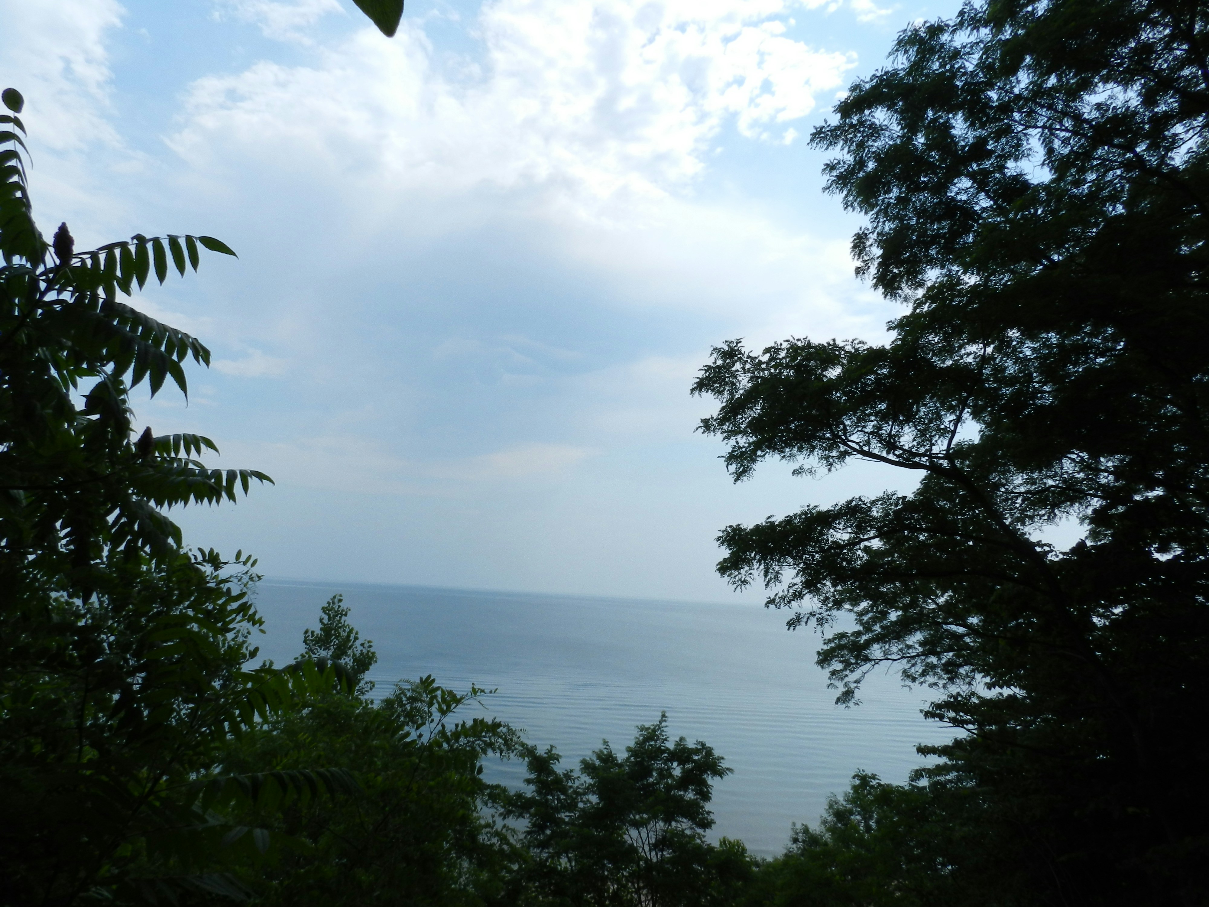 Photo by lyndabalcerek