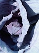 a pile of blue and white material