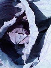a pile of blue and white material