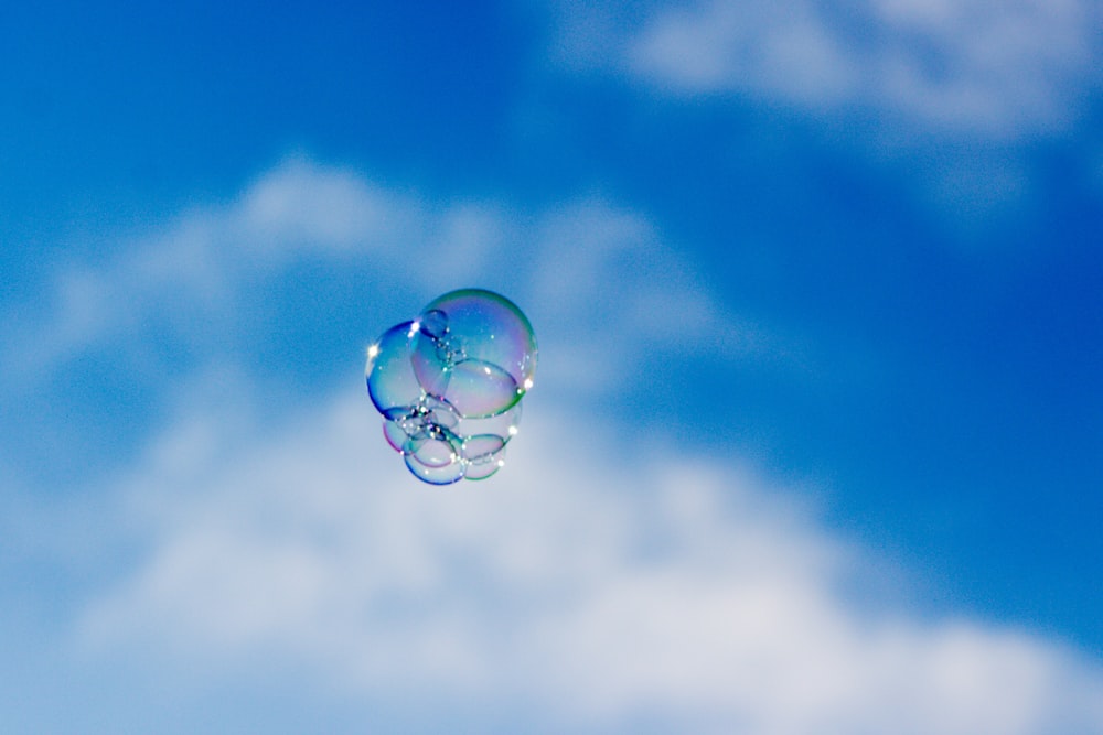 a blue jellyfish in the water