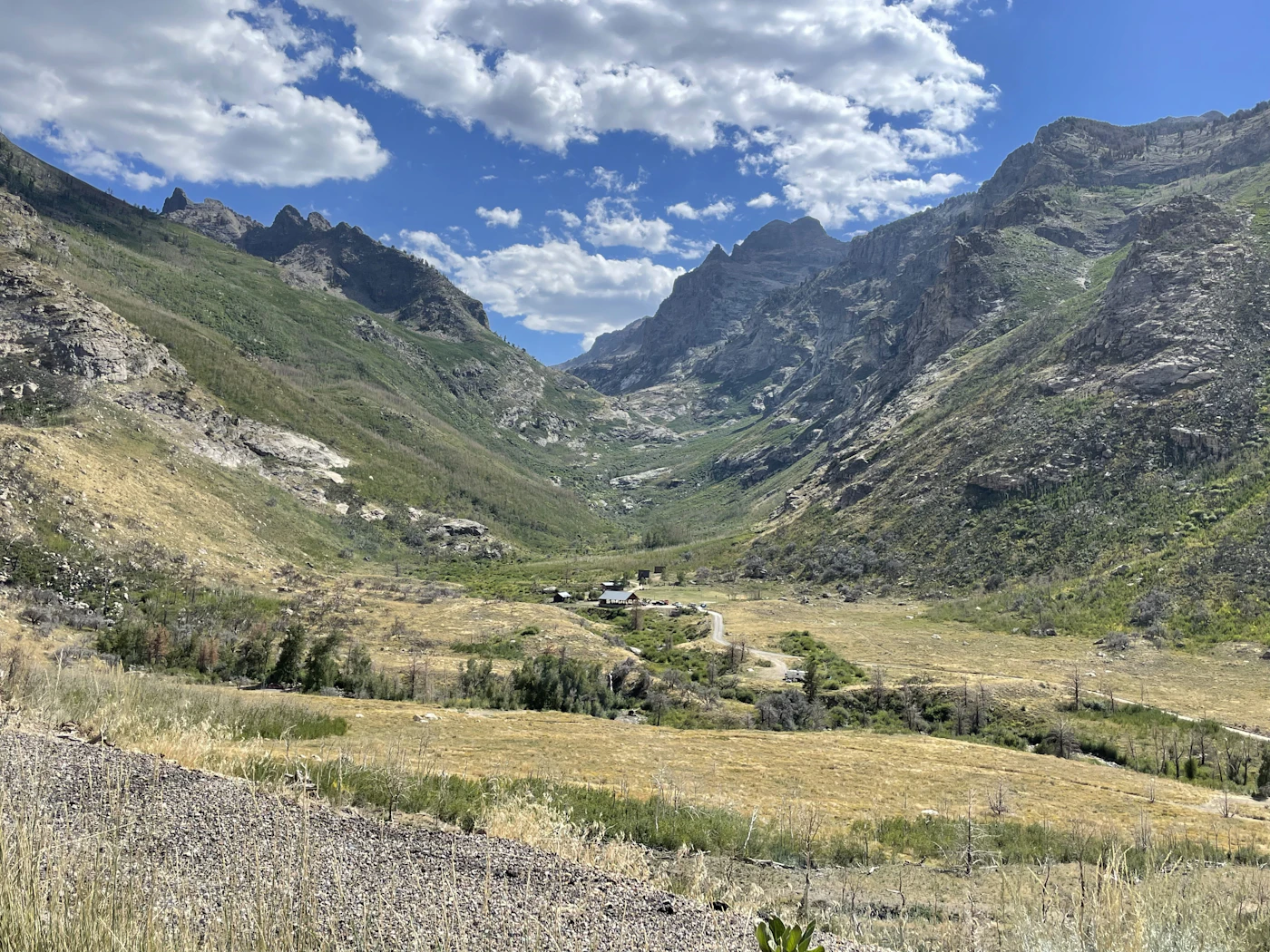 A green glacial valley running up into the Ruby Mountains