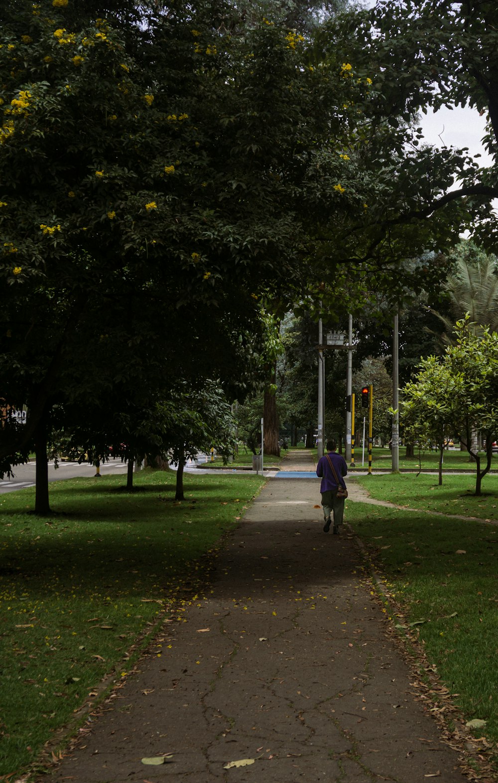 uma pessoa andando de bicicleta em um caminho em um parque