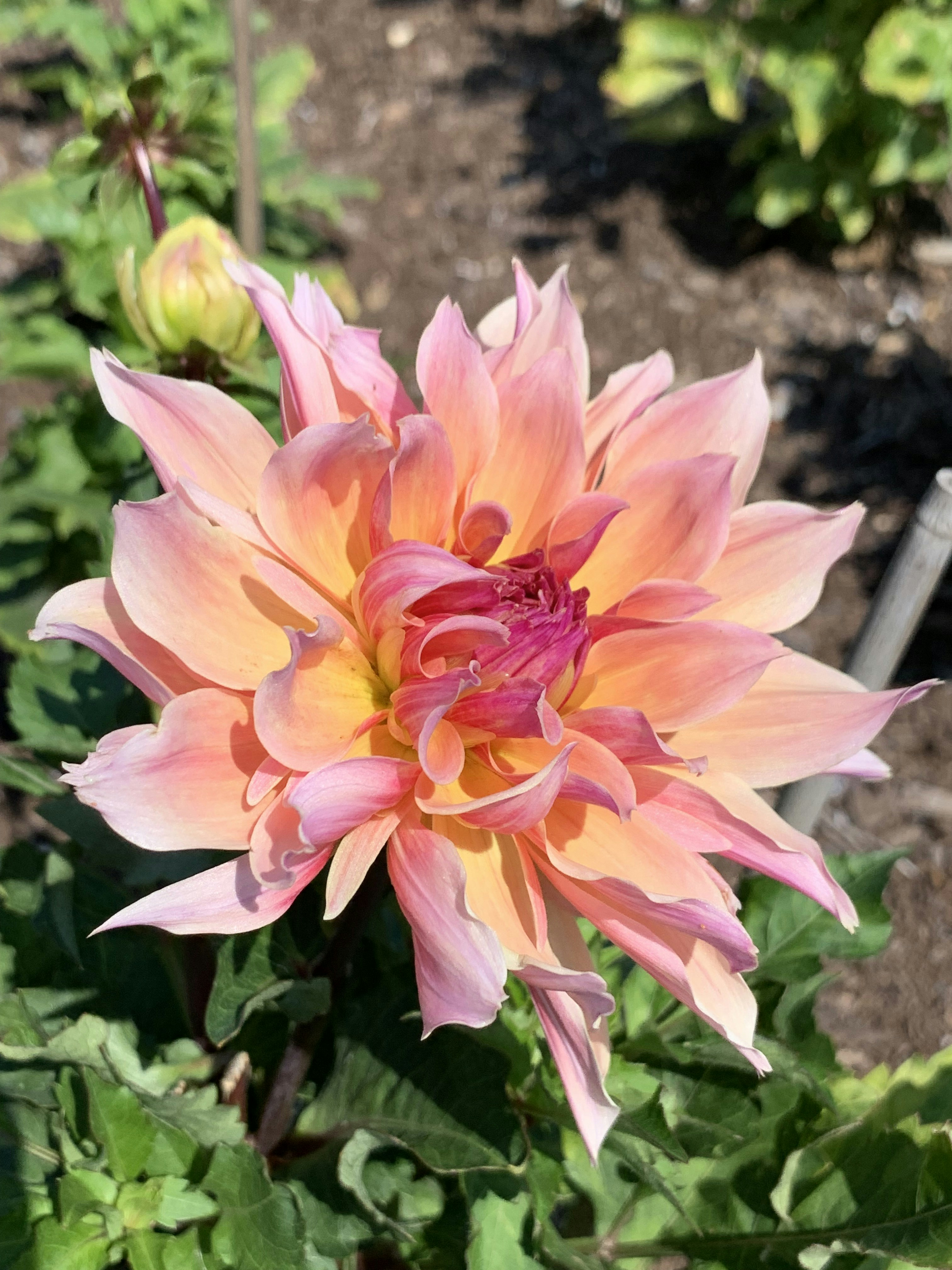 Photo by vdp_photography