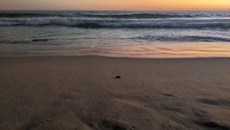 A quiet beach at sunset with gentle waves and footprints in the sand.