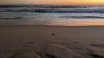 Golden hour shot of a quiet beach with gentle waves and footprints in sand.