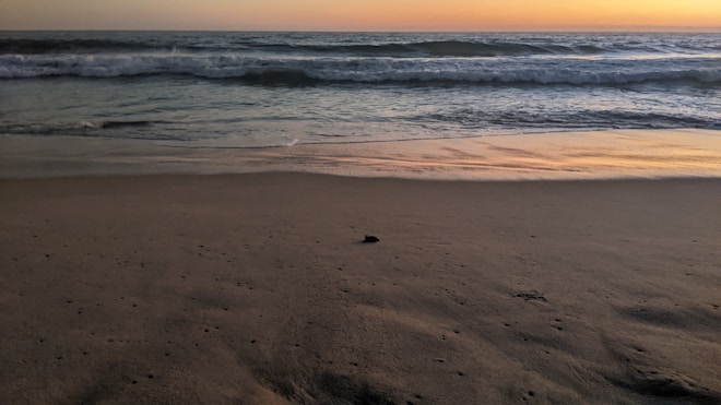 A serene beach setting featuring gentle waves rolling onto the sandy shore during sunset. The sky is painted in warm hues of orange and pink, reflecting softly on the water's surface. Minimal footprints and small pebbles are scattered across the sand.