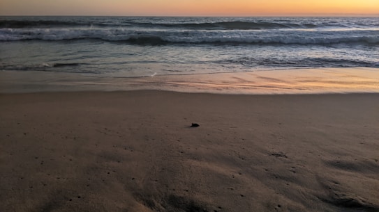 A serene beach setting featuring gentle waves rolling onto the sandy shore during sunset. The sky is painted in warm hues of orange and pink, reflecting softly on the water's surface. Minimal footprints and small pebbles are scattered across the sand.