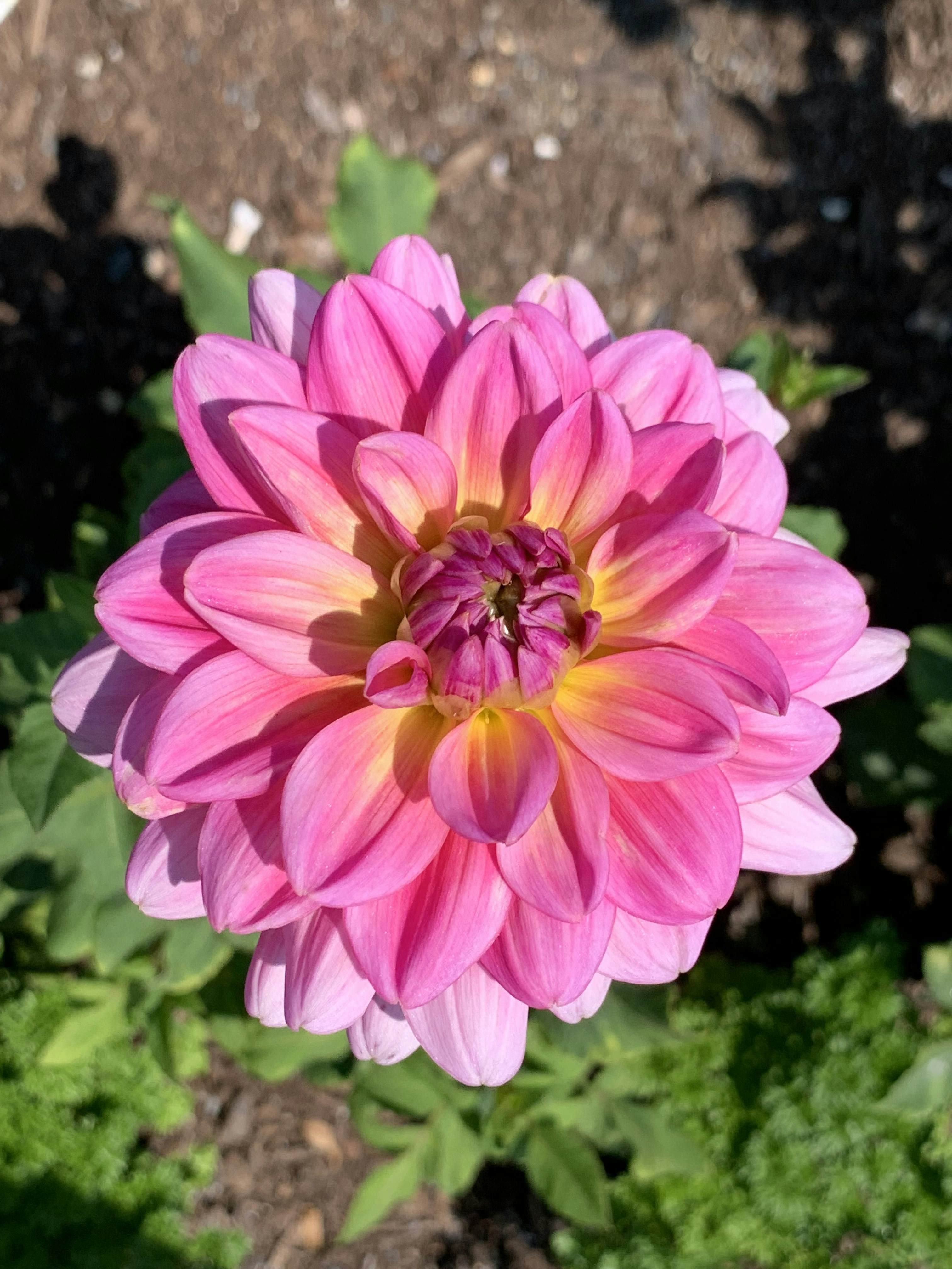 Photo by vdp_photography