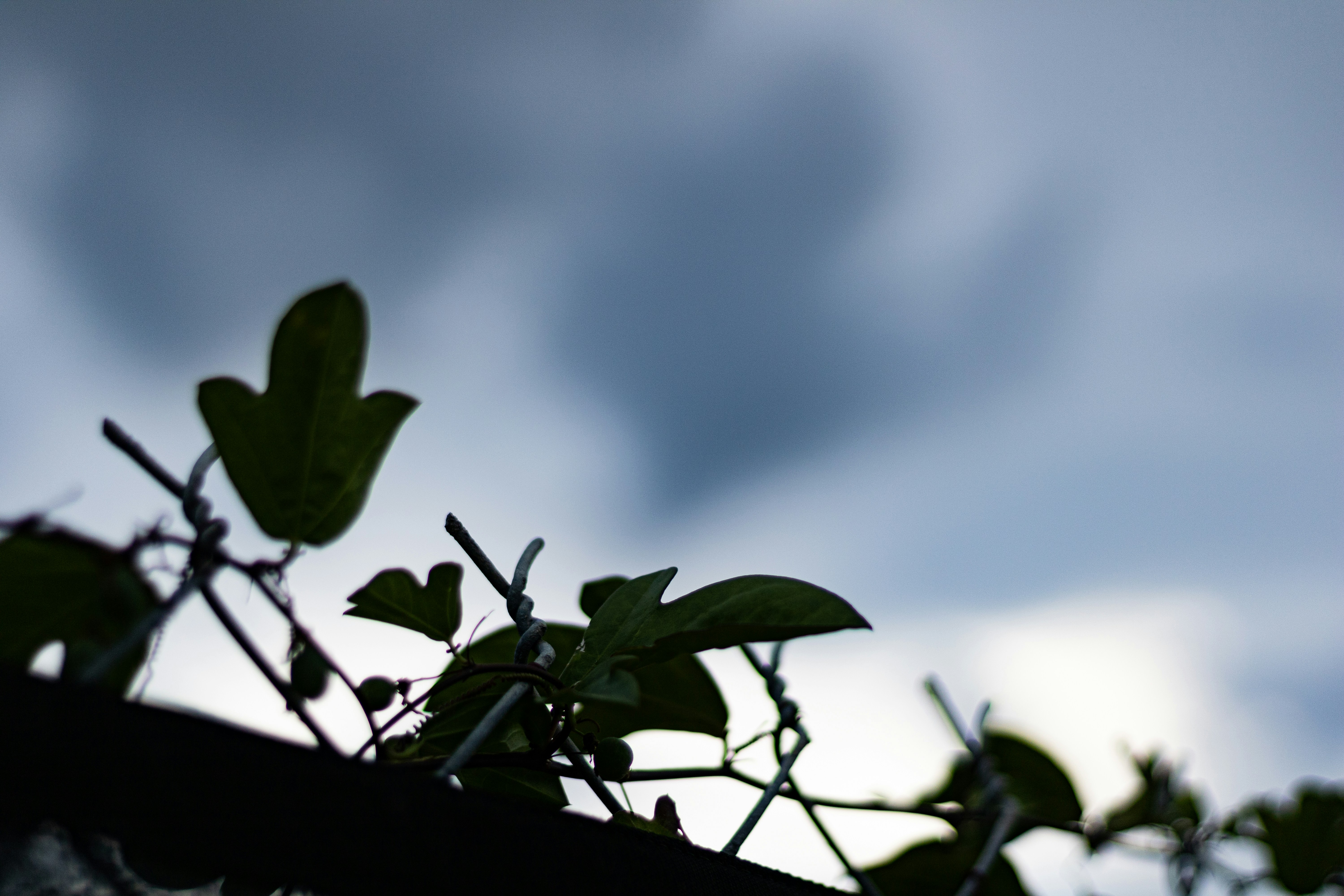 Photo by navarrovisuals