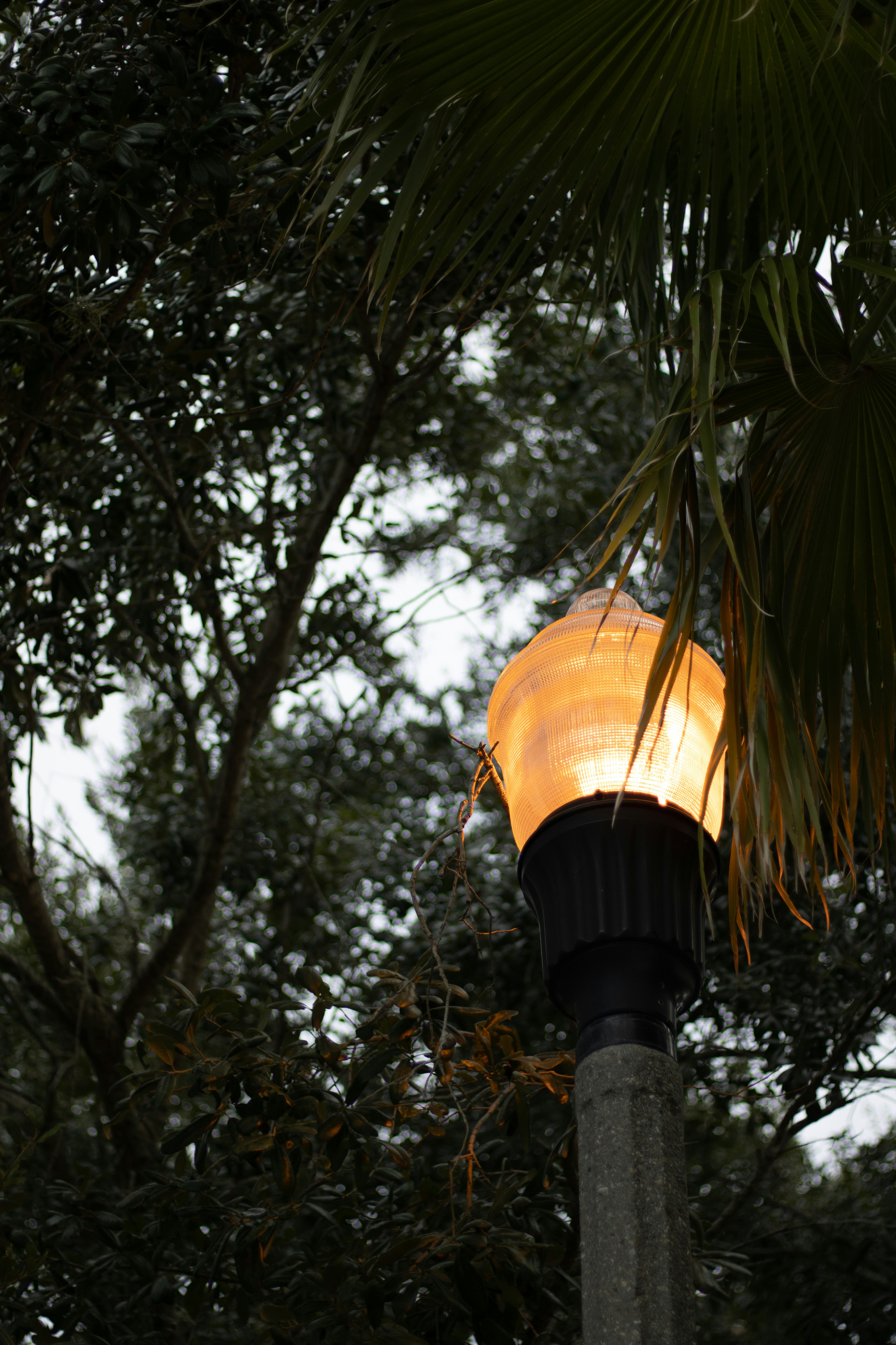 Photo by navarrovisuals