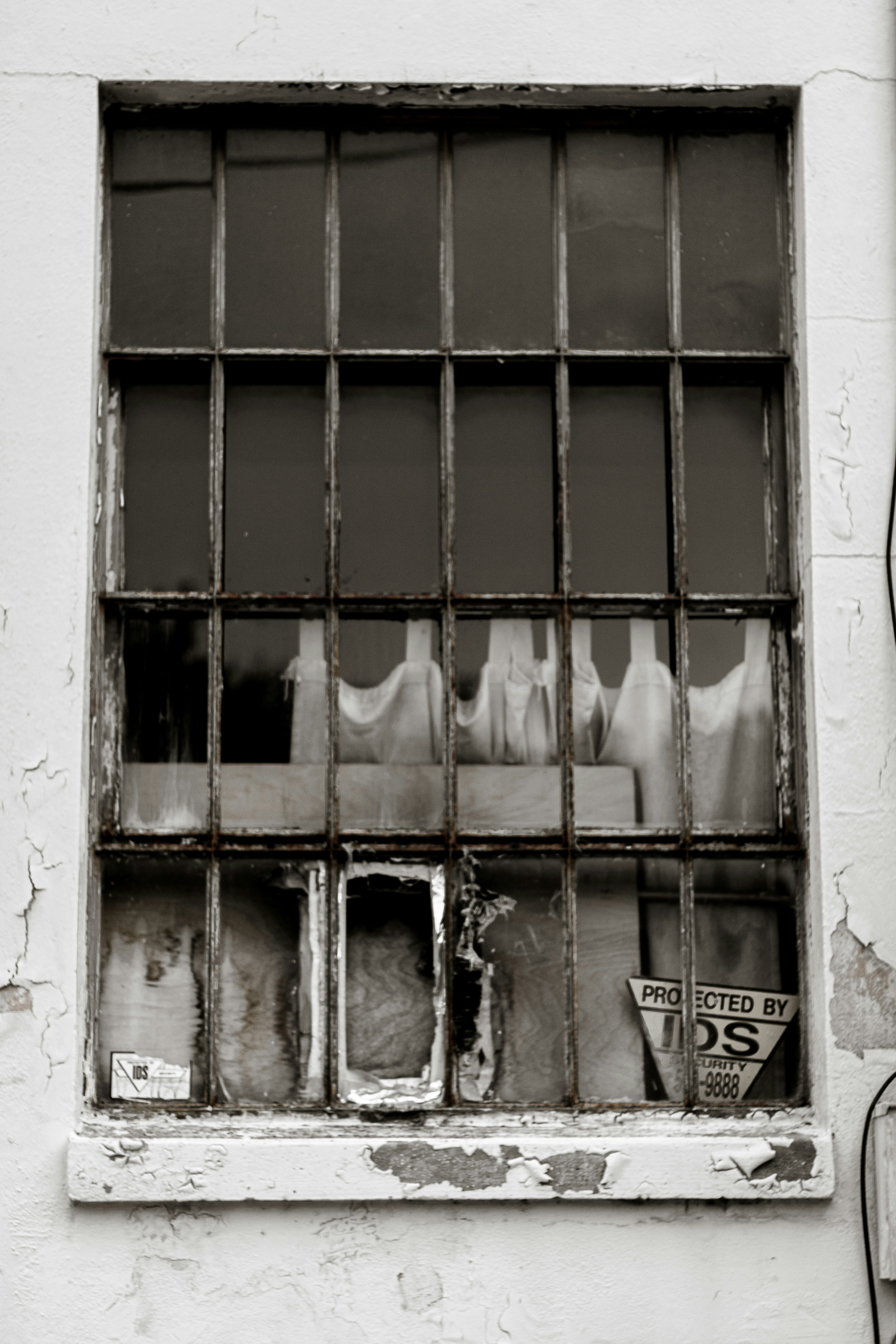 Photo by navarrovisuals