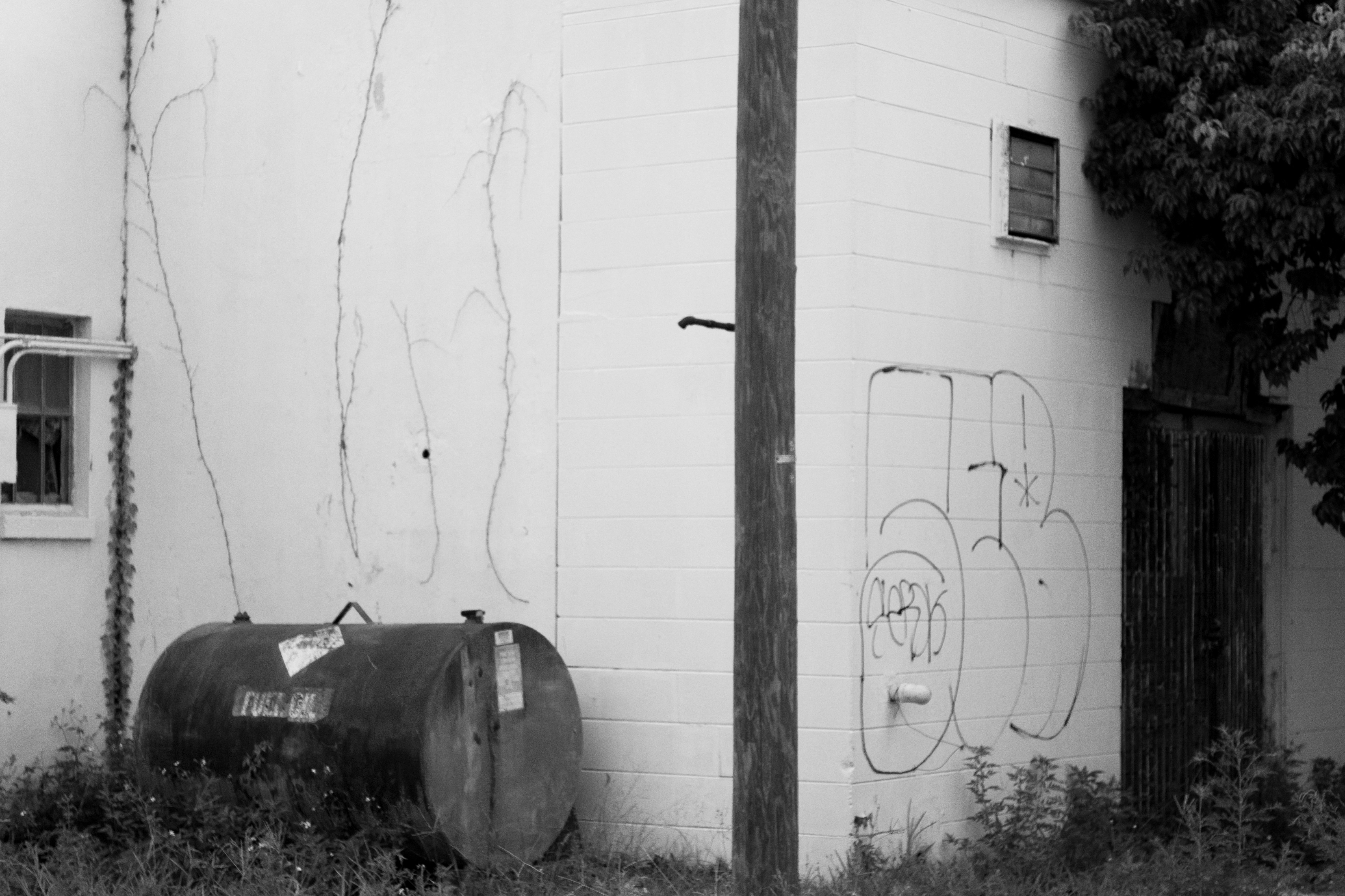 Photo by navarrovisuals