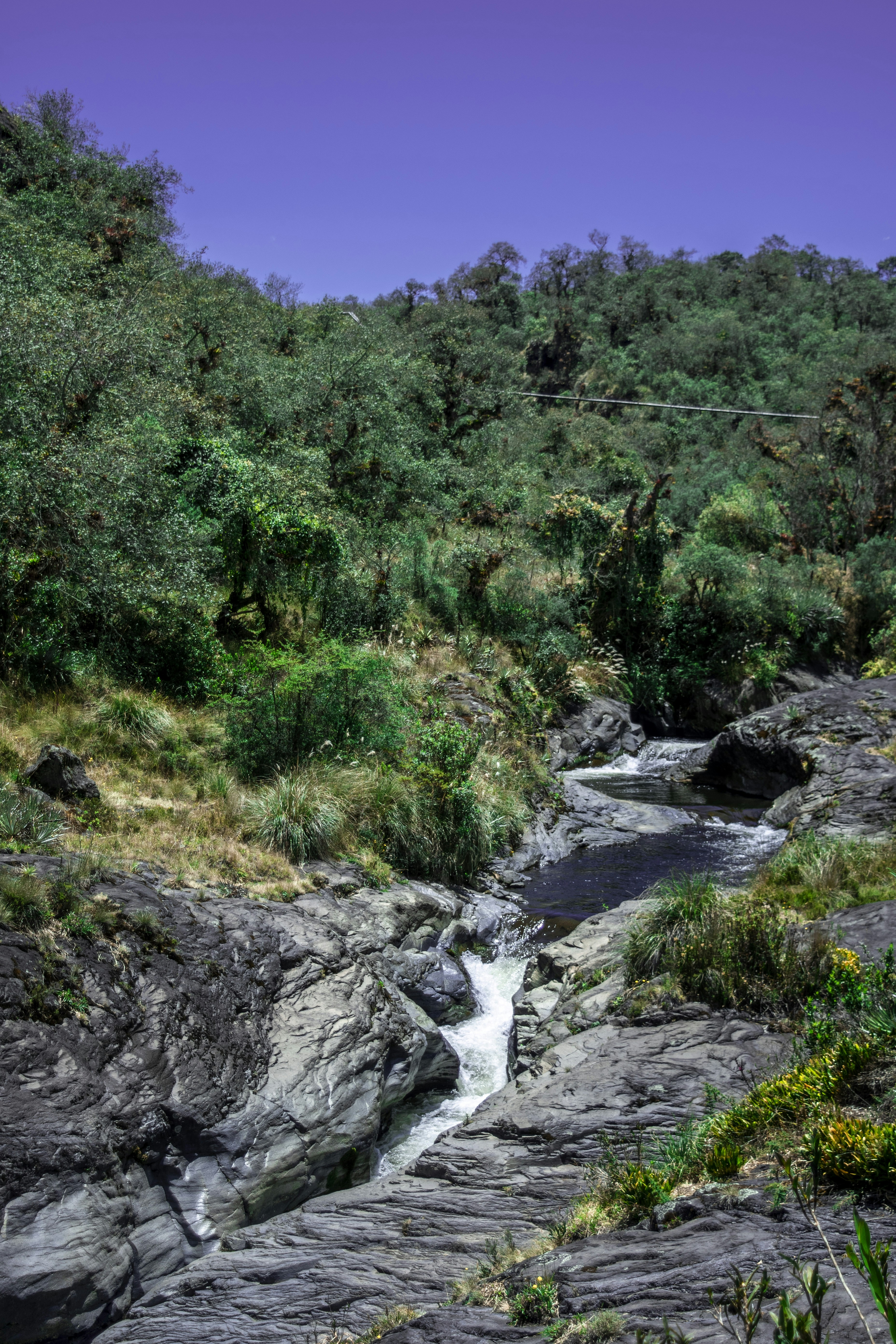 Photo by notartistic