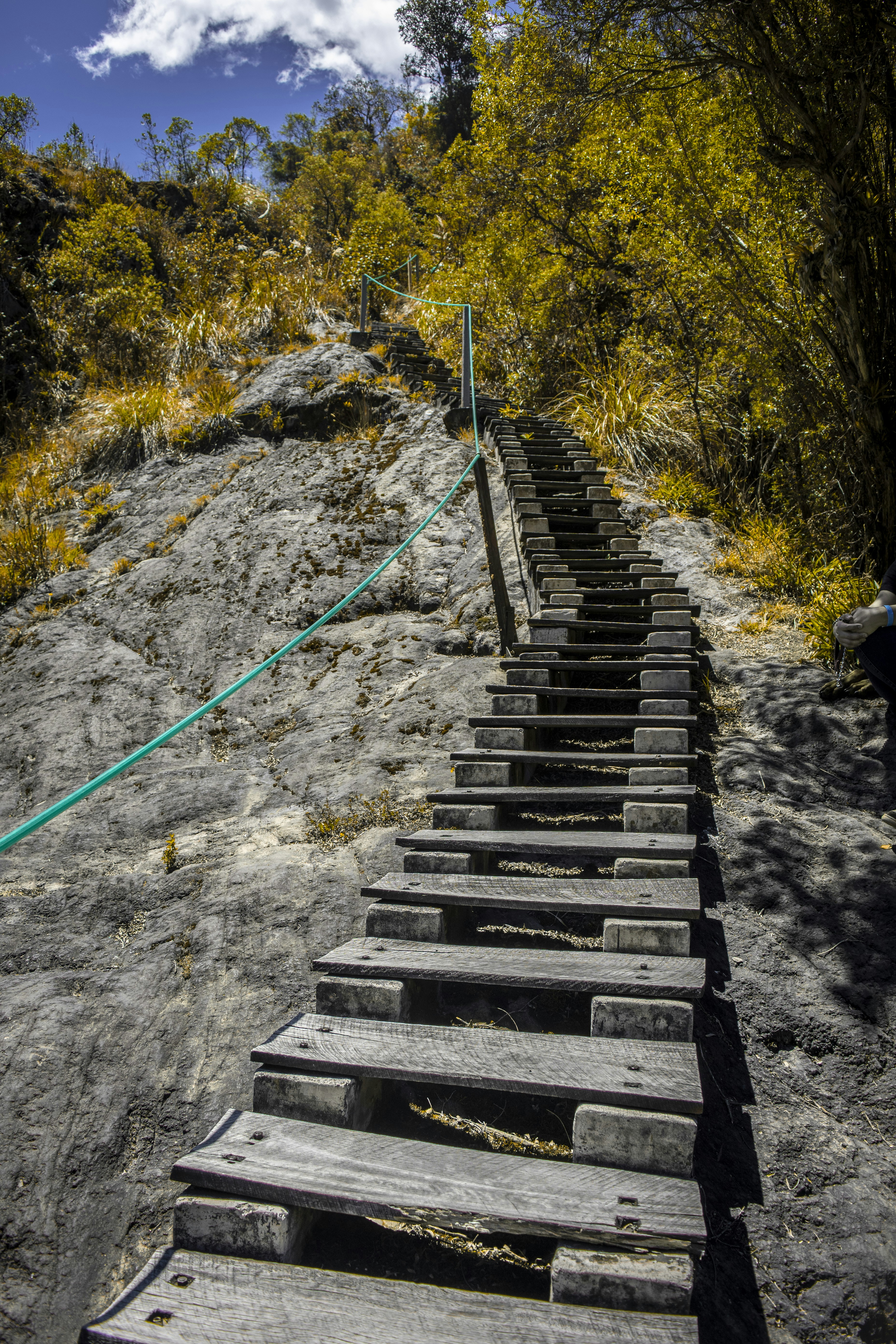 A set of stairs leading up to a forest photo – Free Forest Image on ...