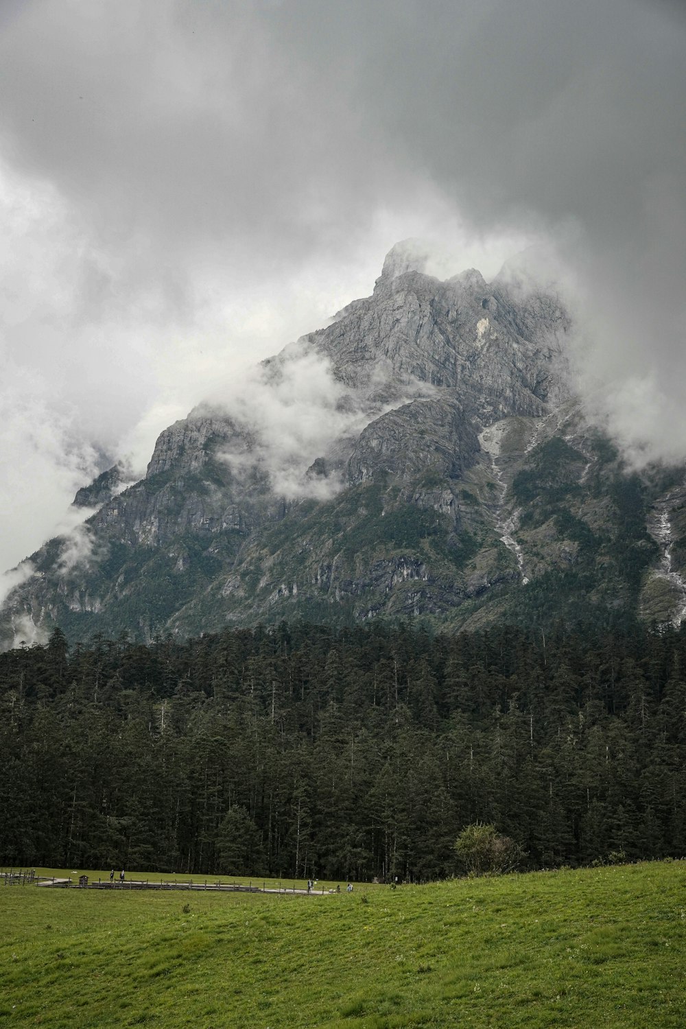 a mountain with trees below