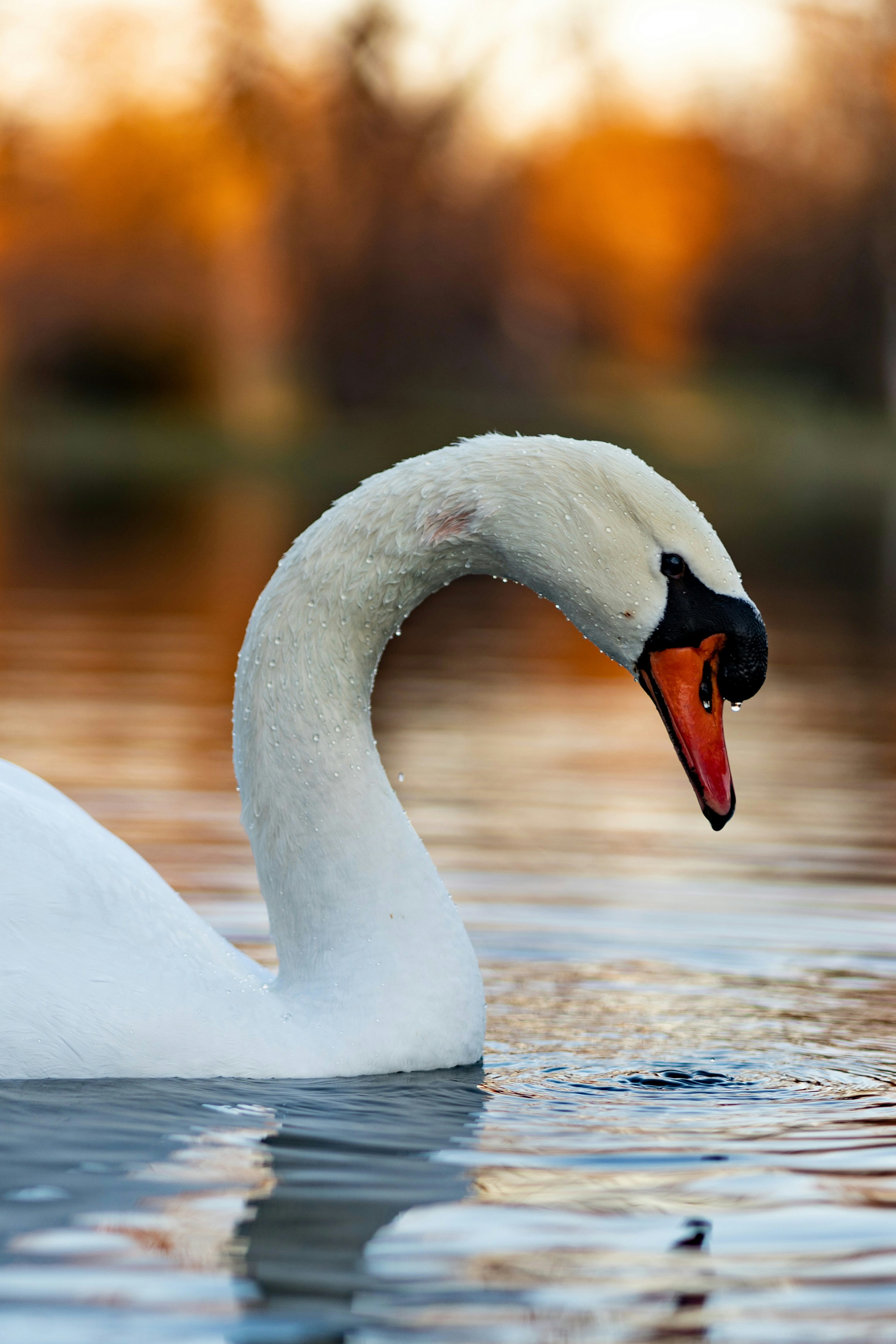 Photo by michaelmax98