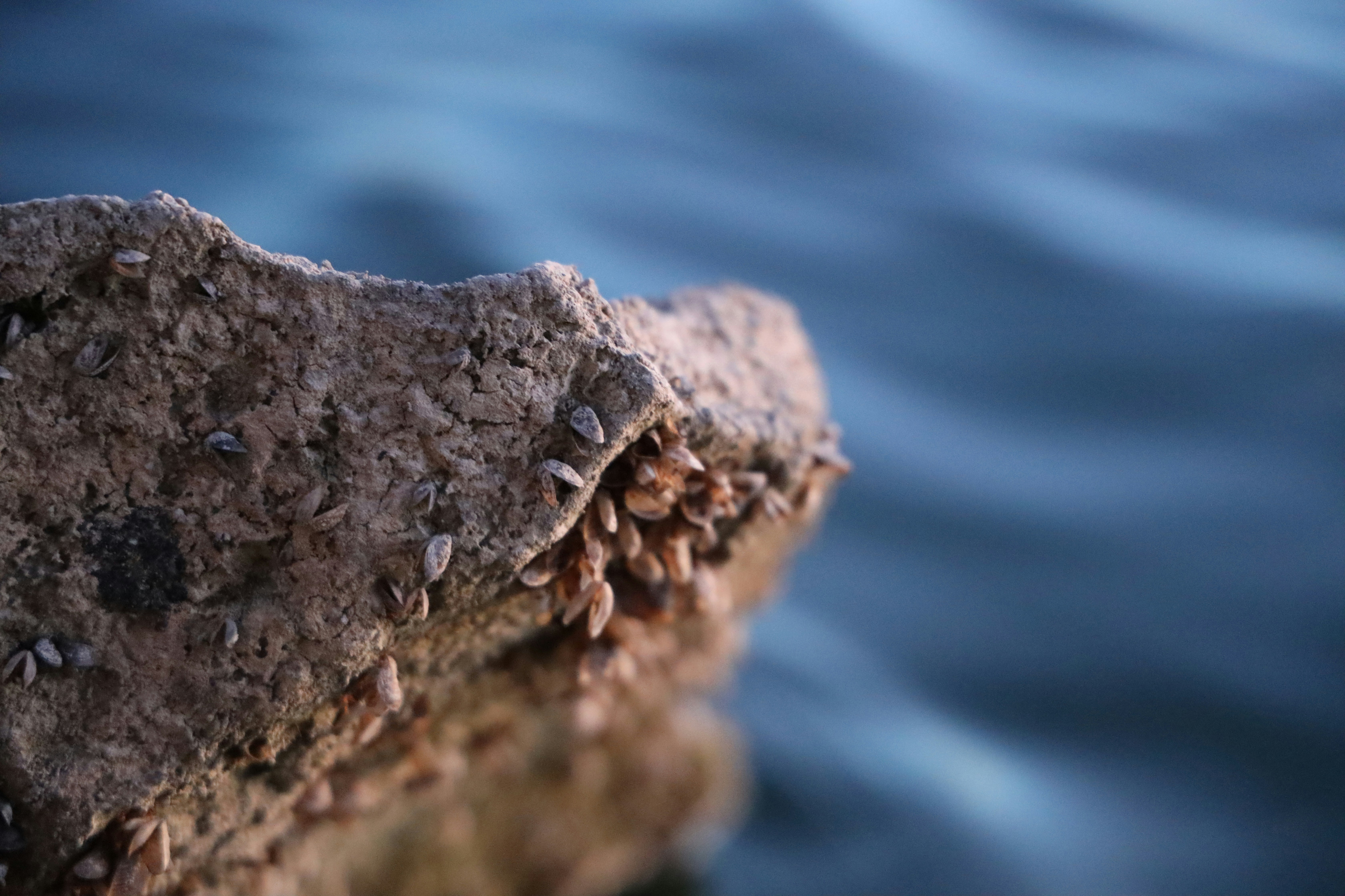 Photo by lilyycamillephoto