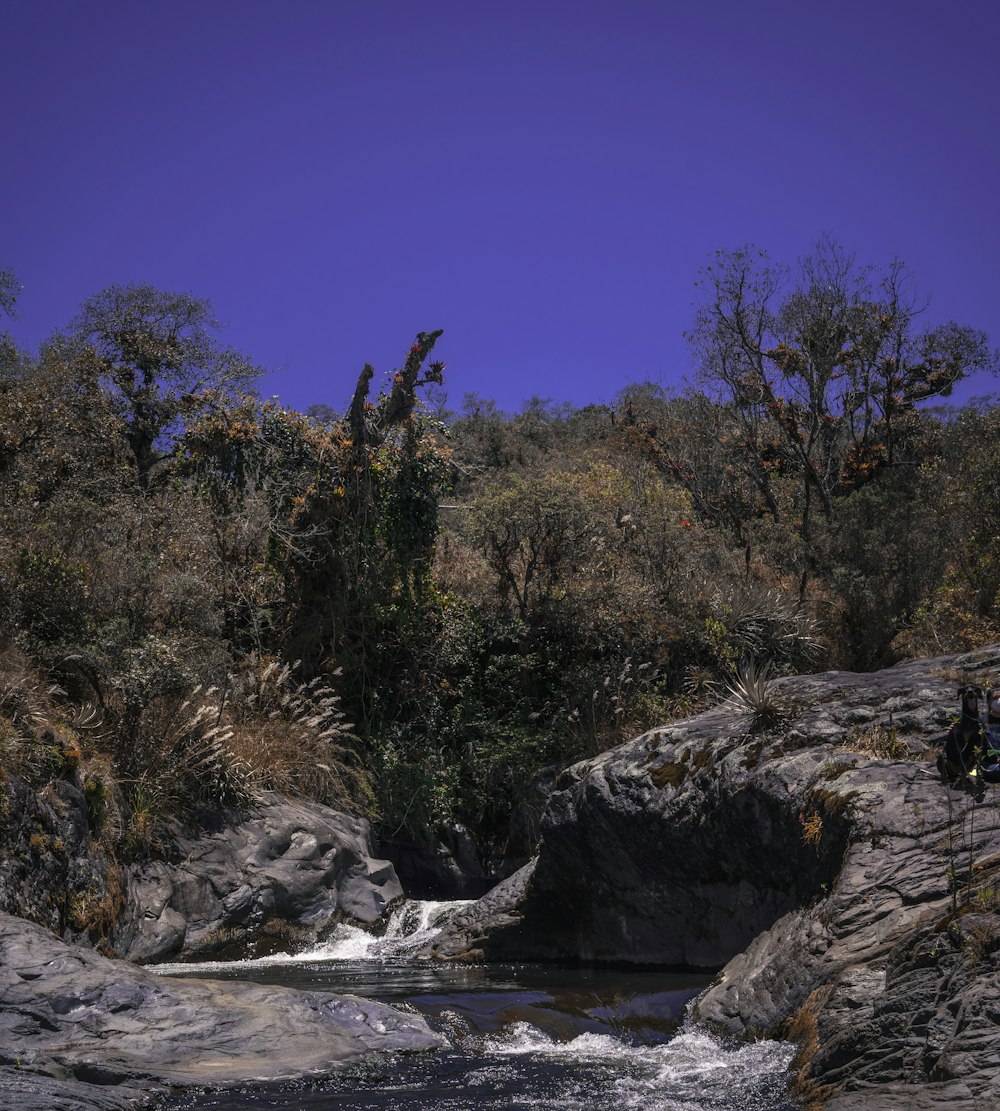 a river with rocks and trees