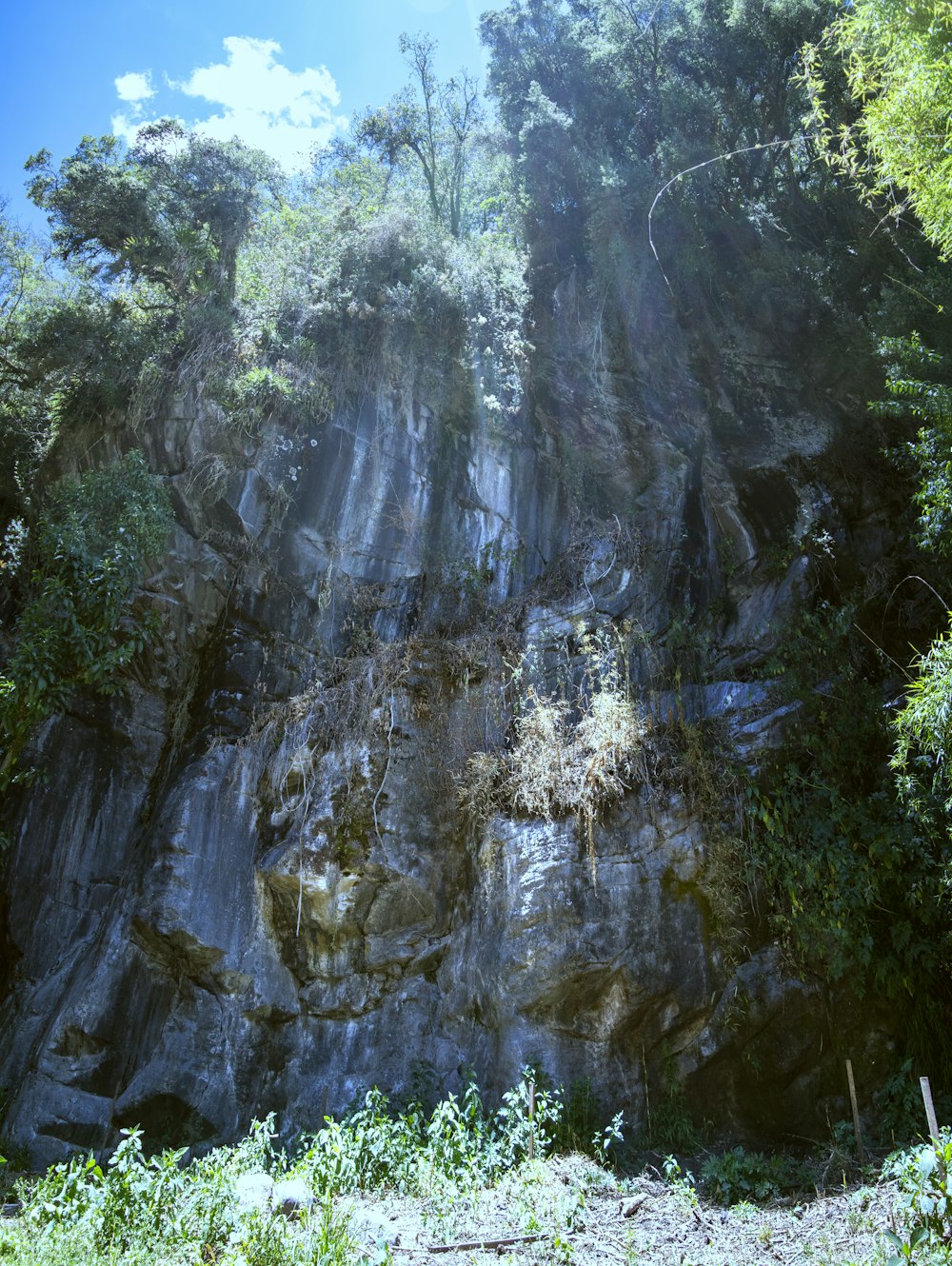 a waterfall in a forest