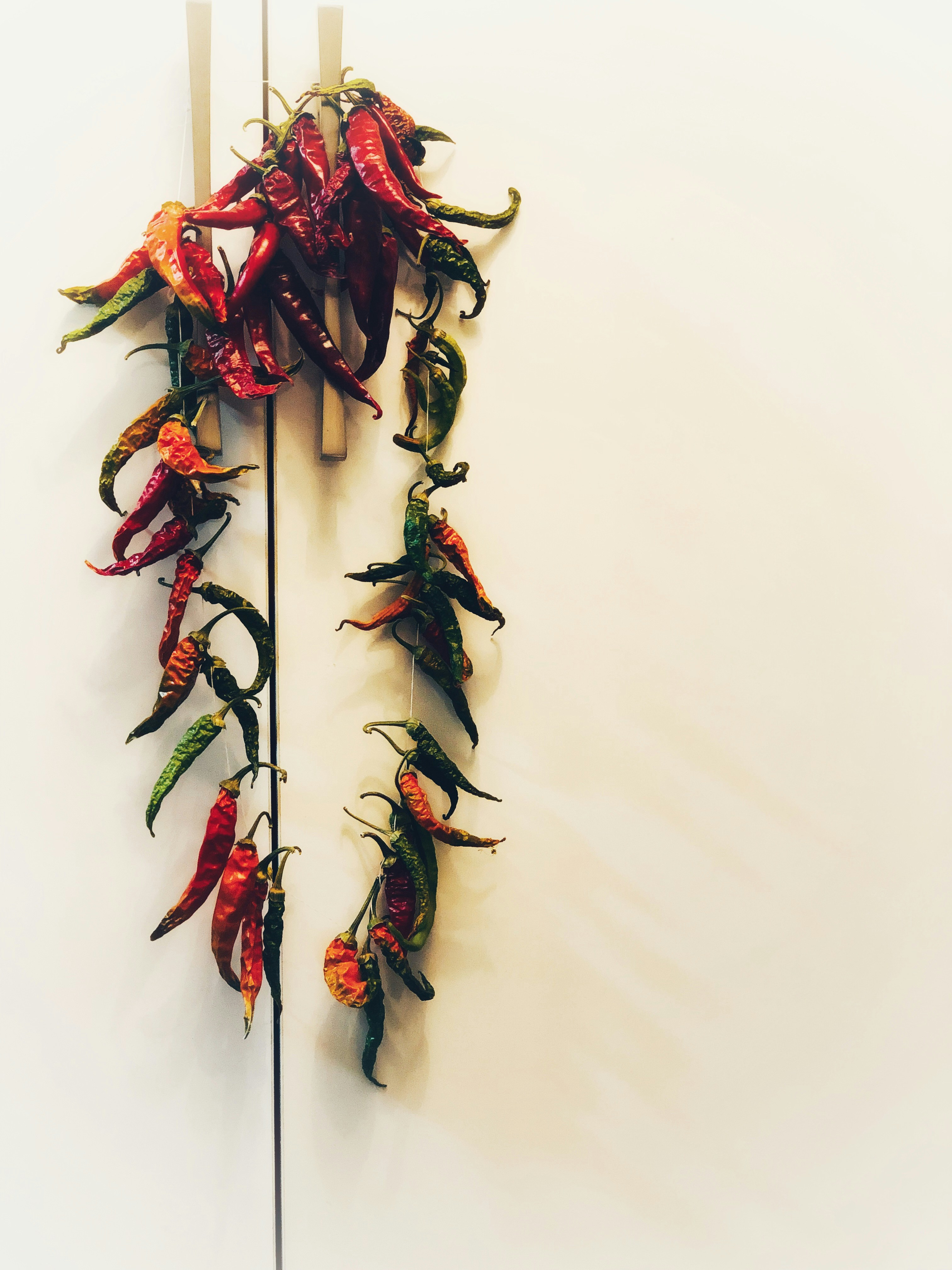 Photo by marjanabbasi