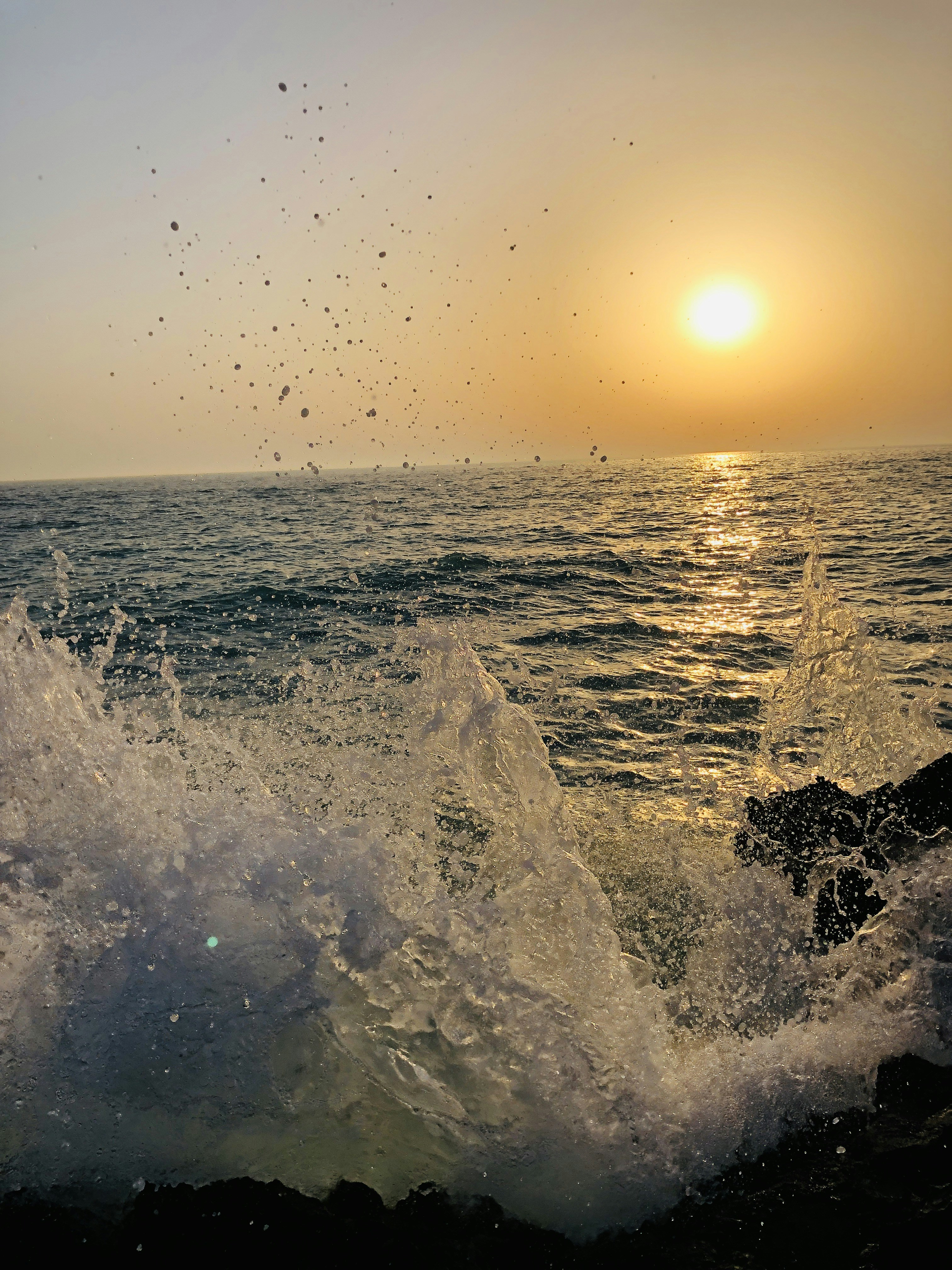 Photo by marjanabbasi